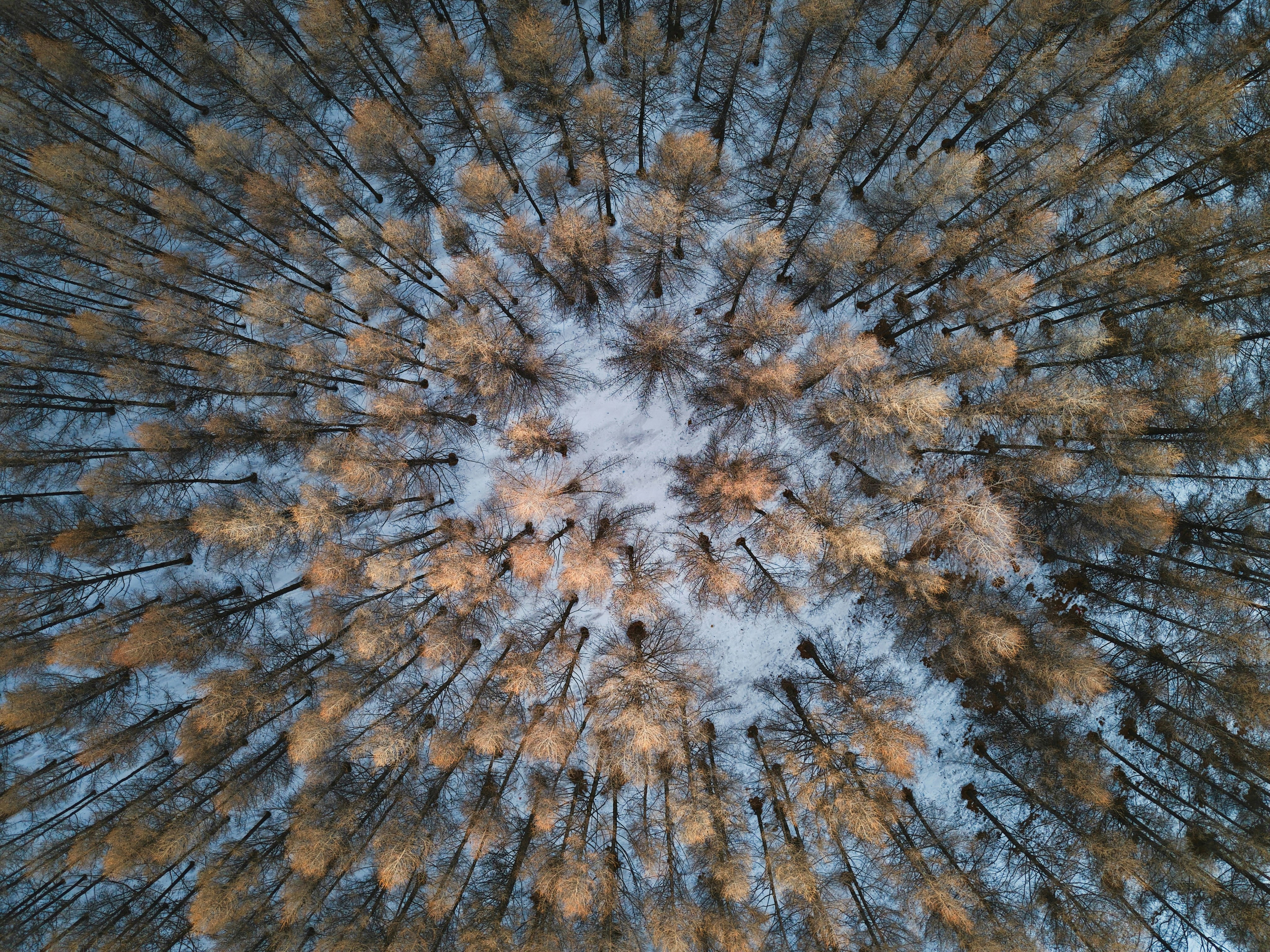 Featured image of post Deep-Live-Cam