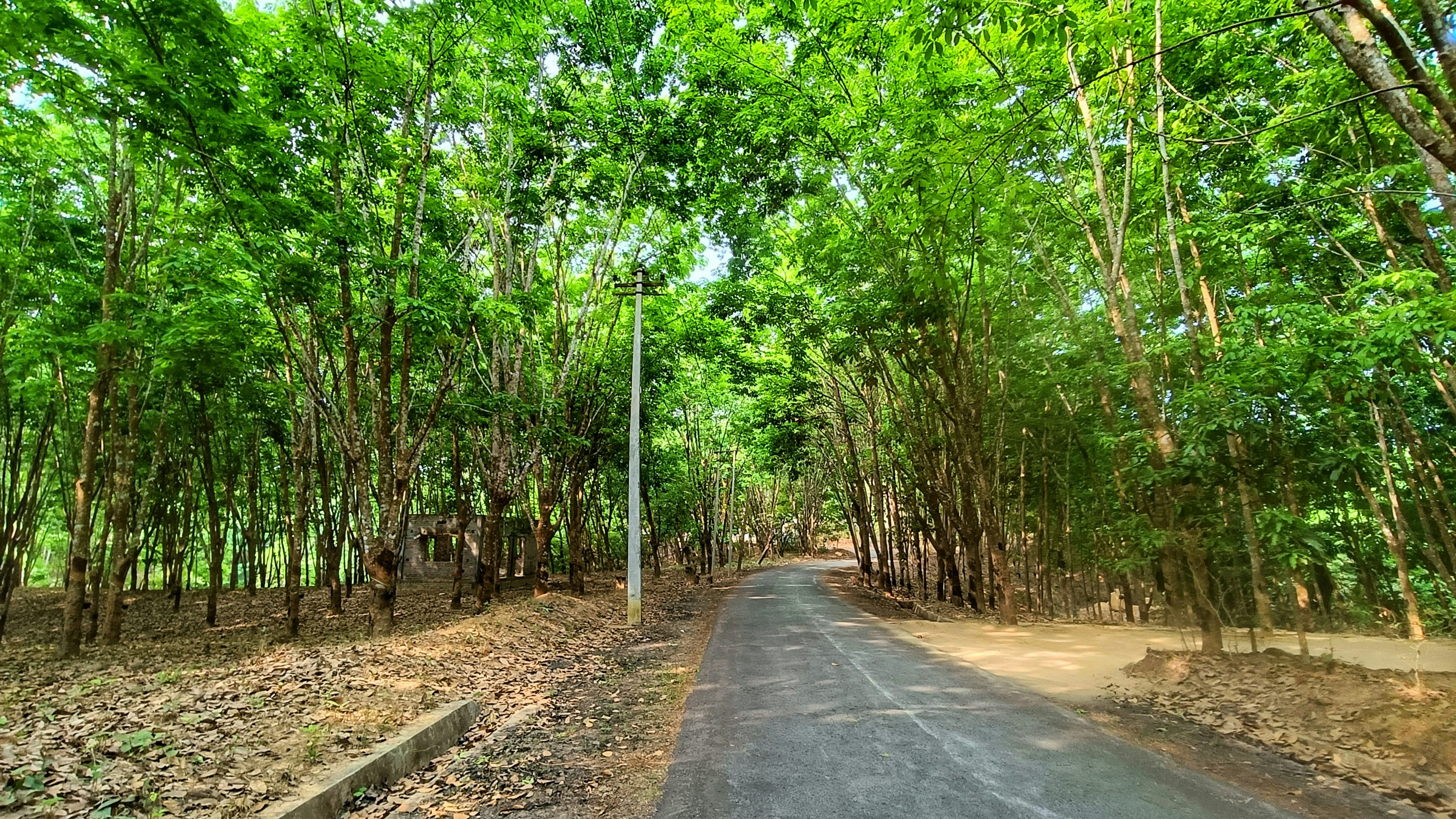 Photo by souravdnath1