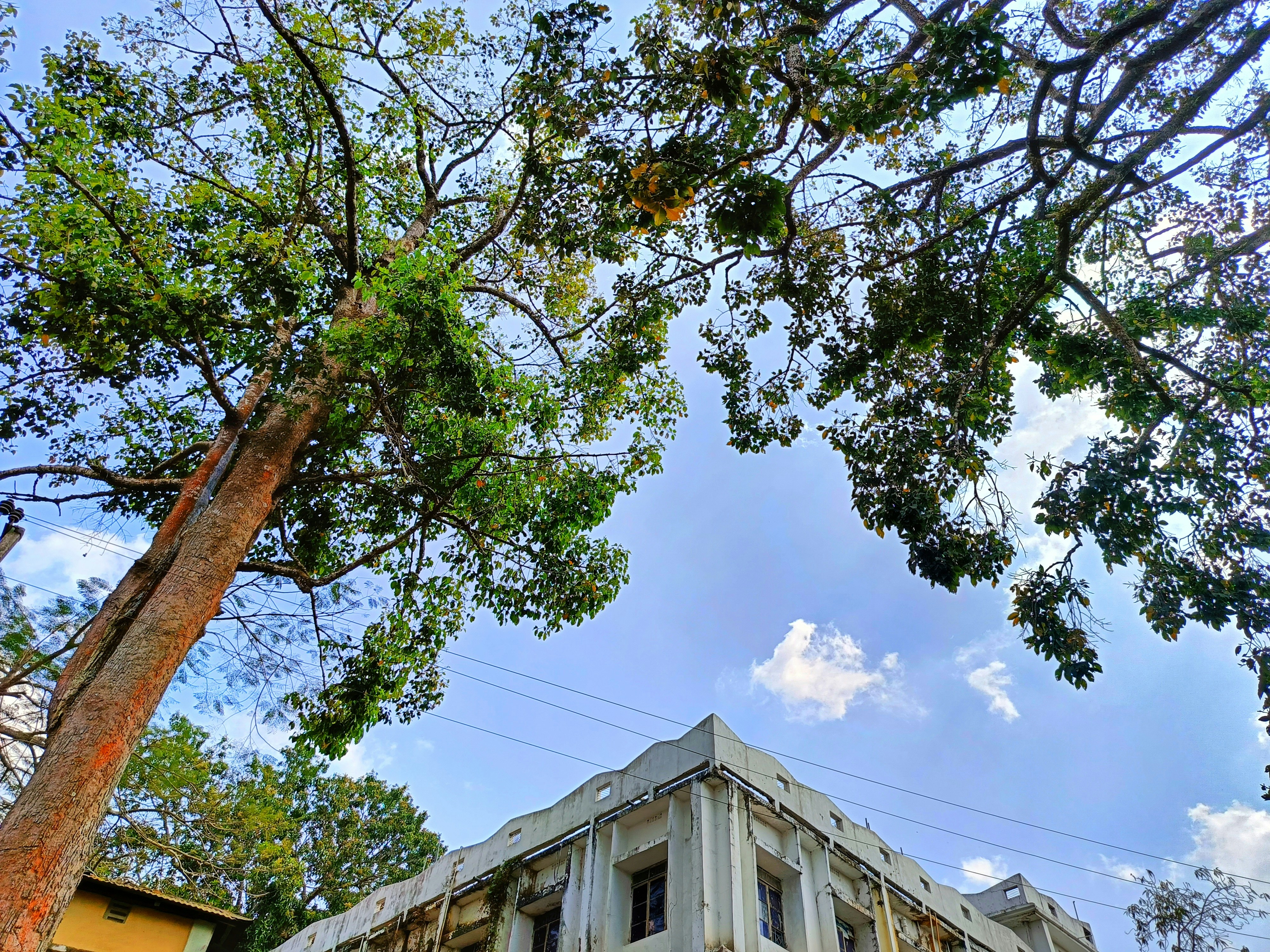 Photo by souravdnath1