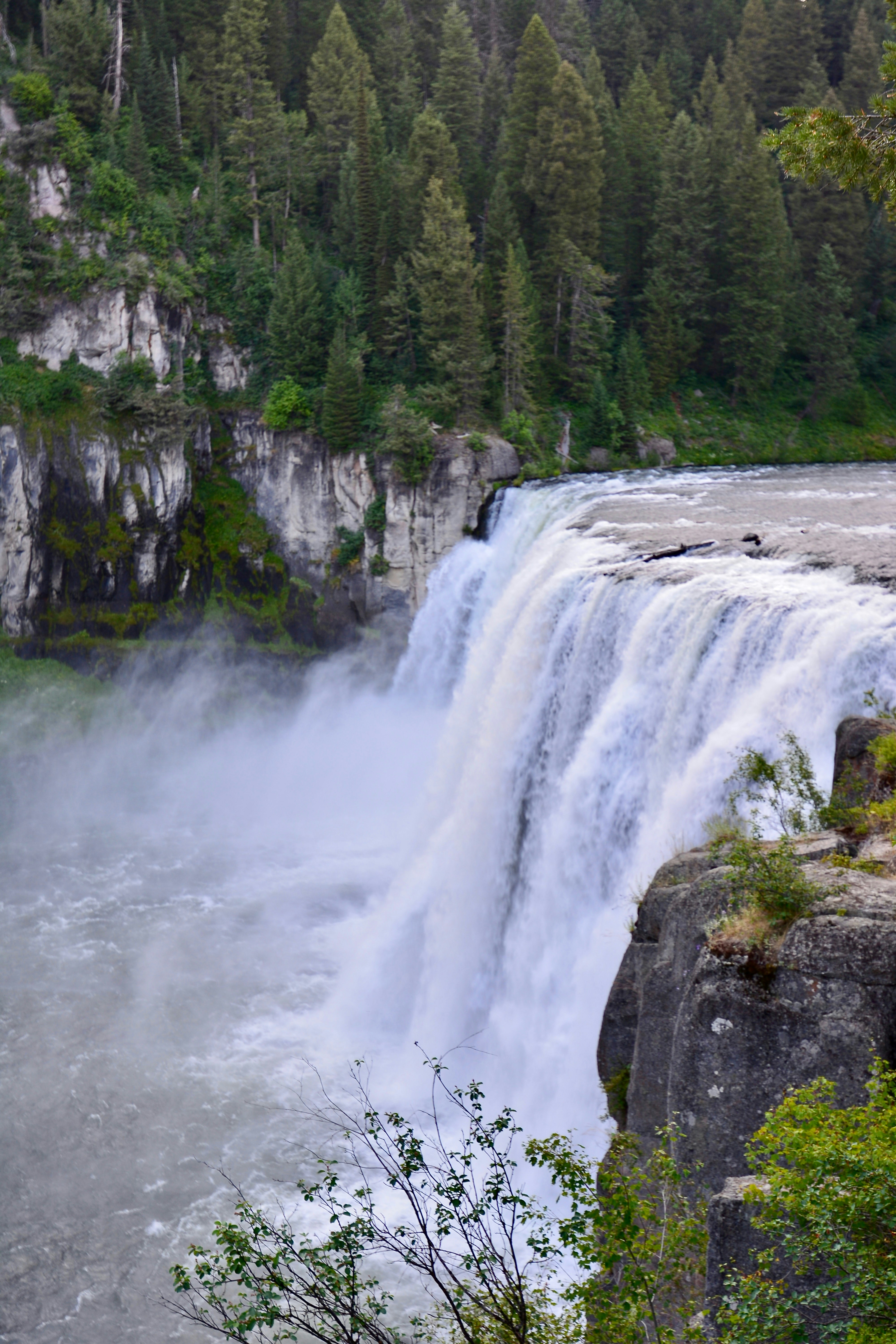 Photo by martinezjmp