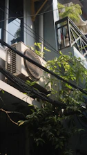 An air conditioner and overgrown vines on building.