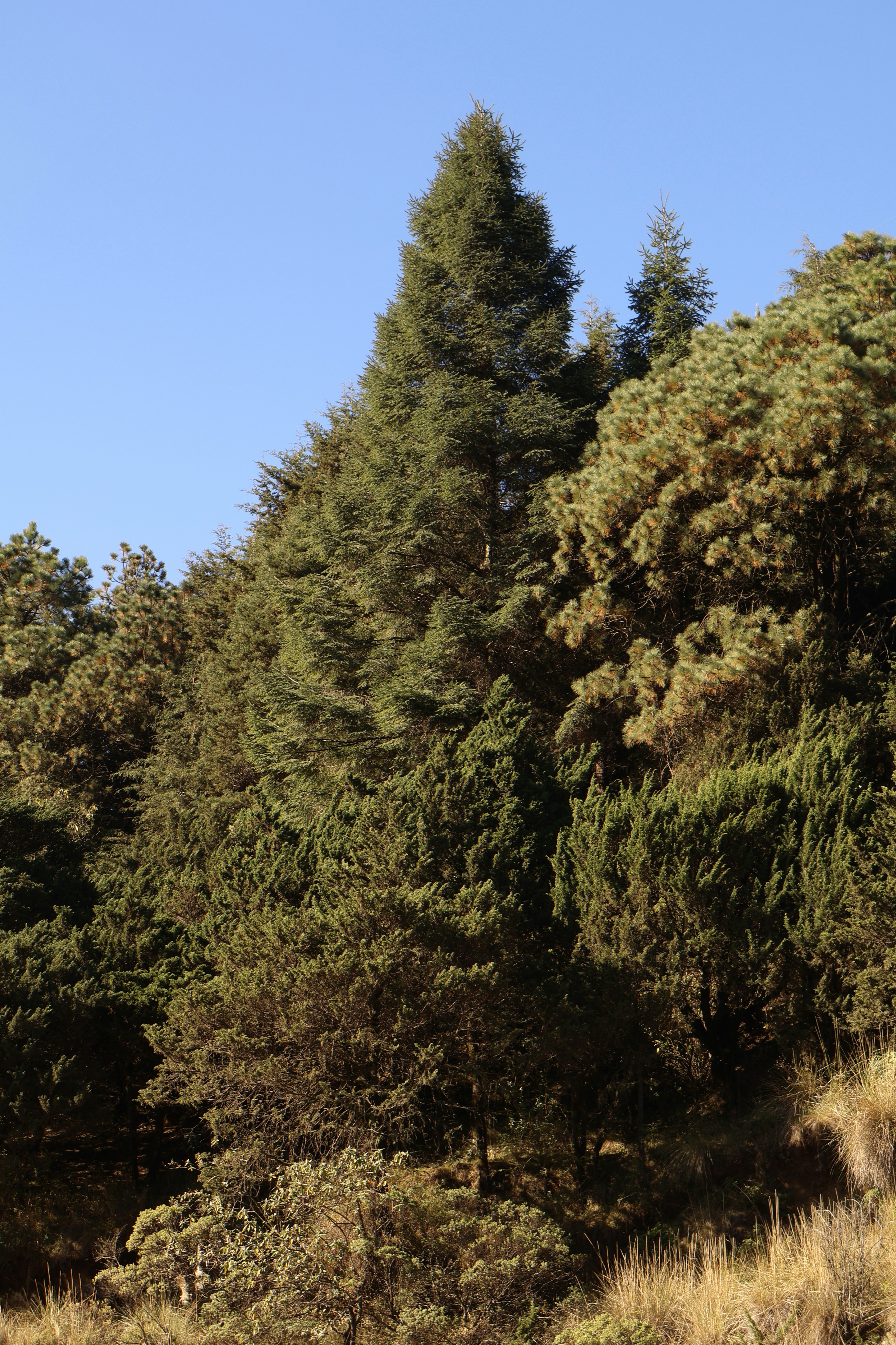 Photo by vianeysantillann