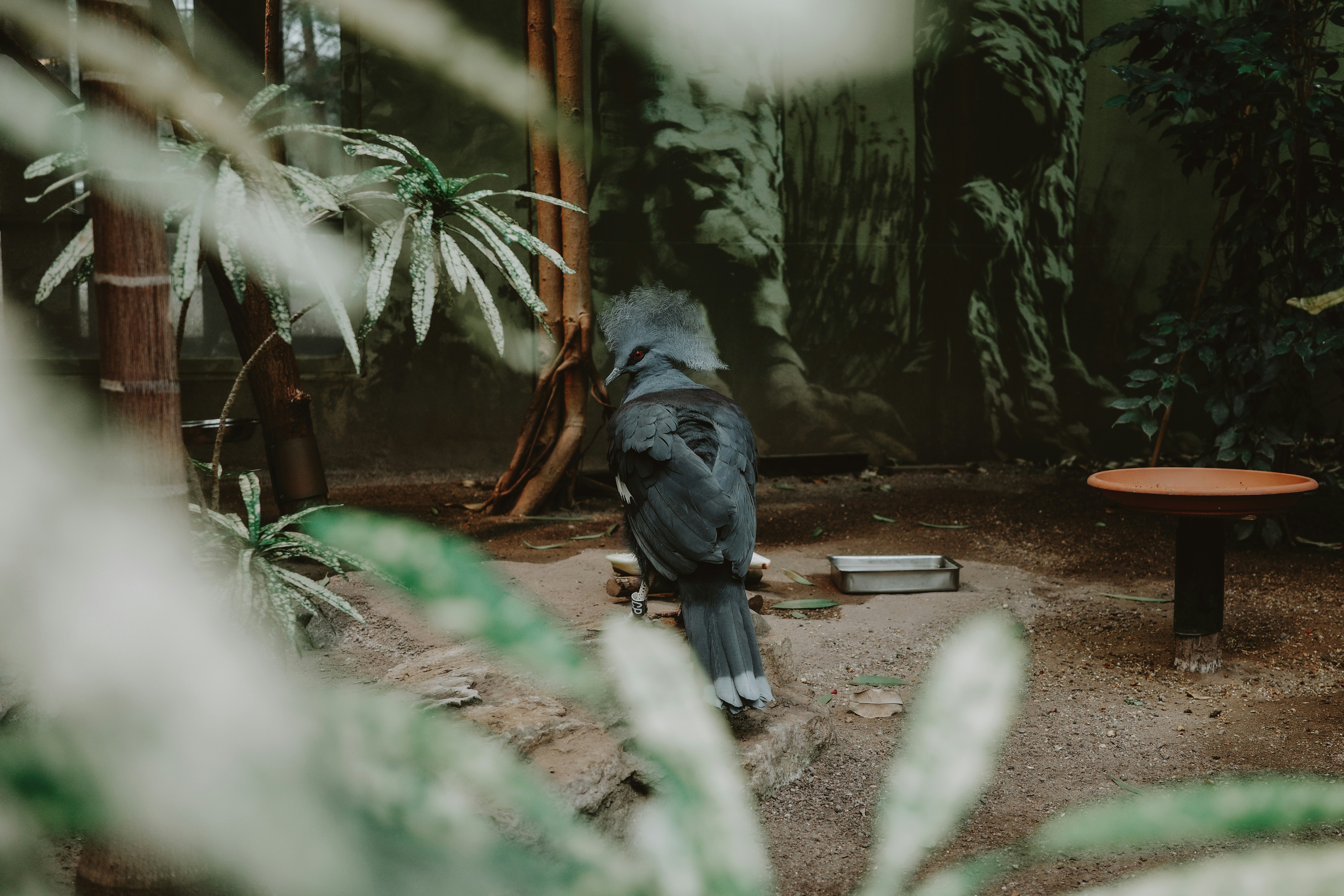 Photo by virginiaphotostories