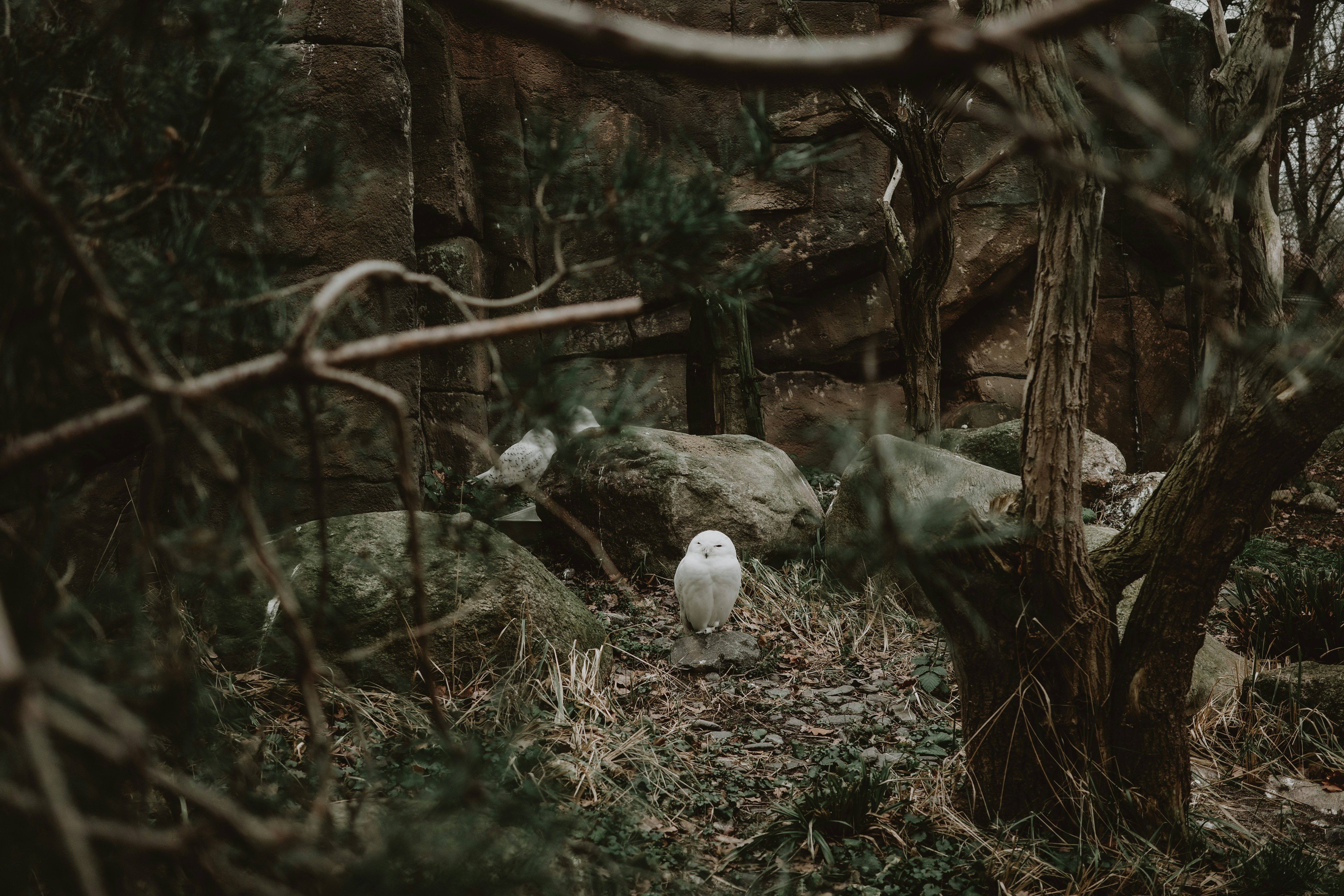 Photo by virginiaphotostories