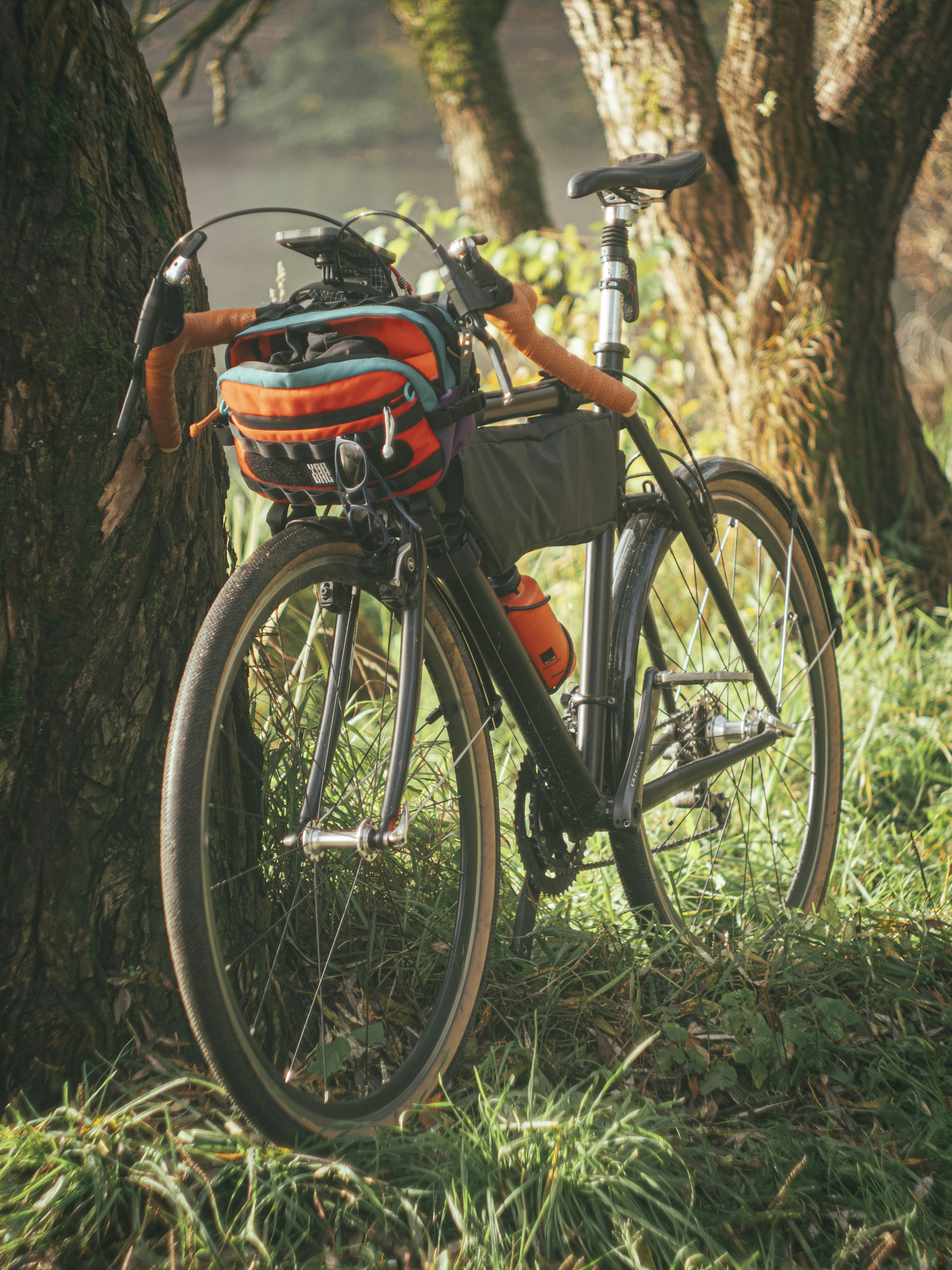 A bike is parked underneath some trees.