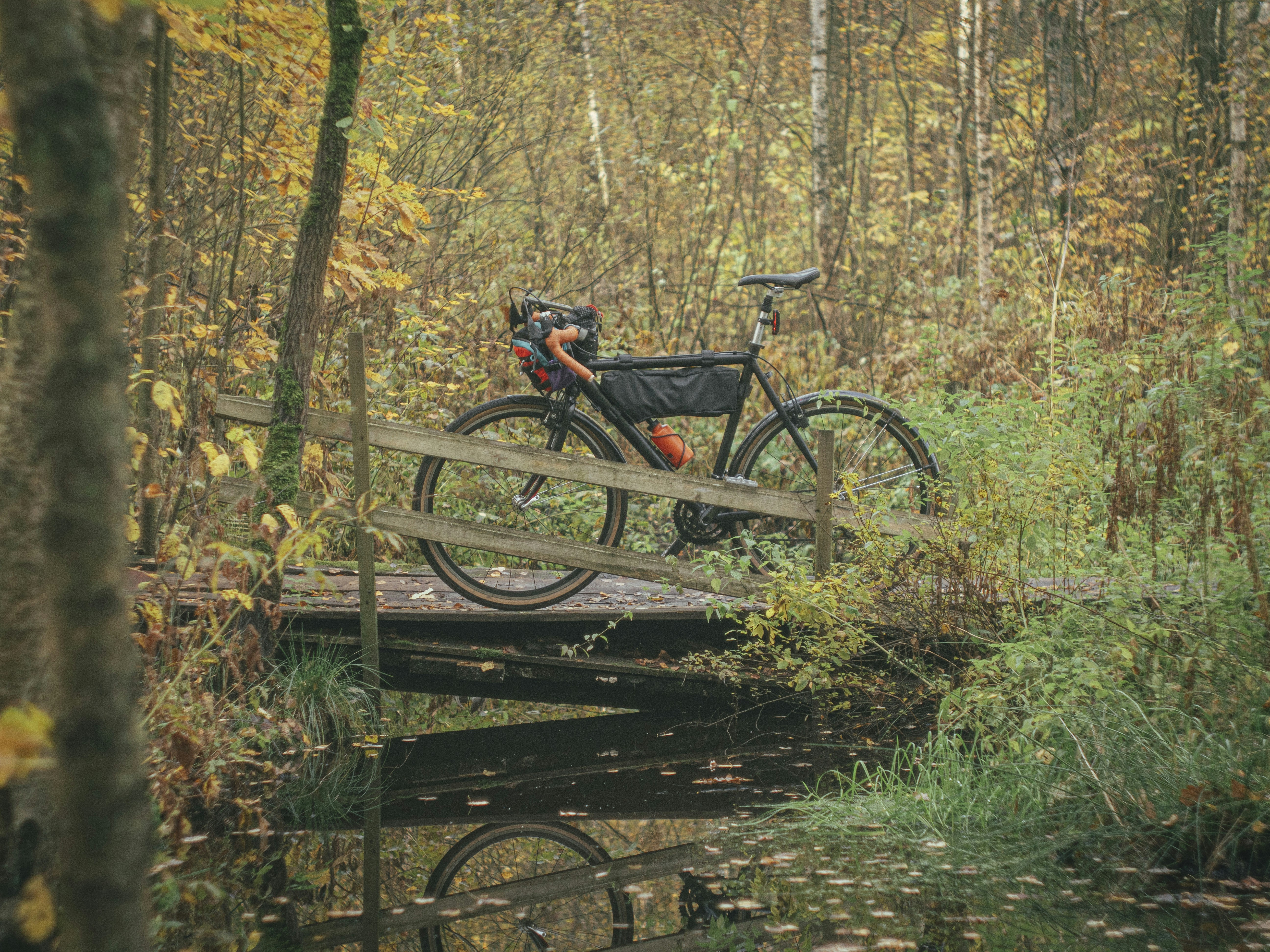 A bicycle rests on a bridge in the autumn forest.