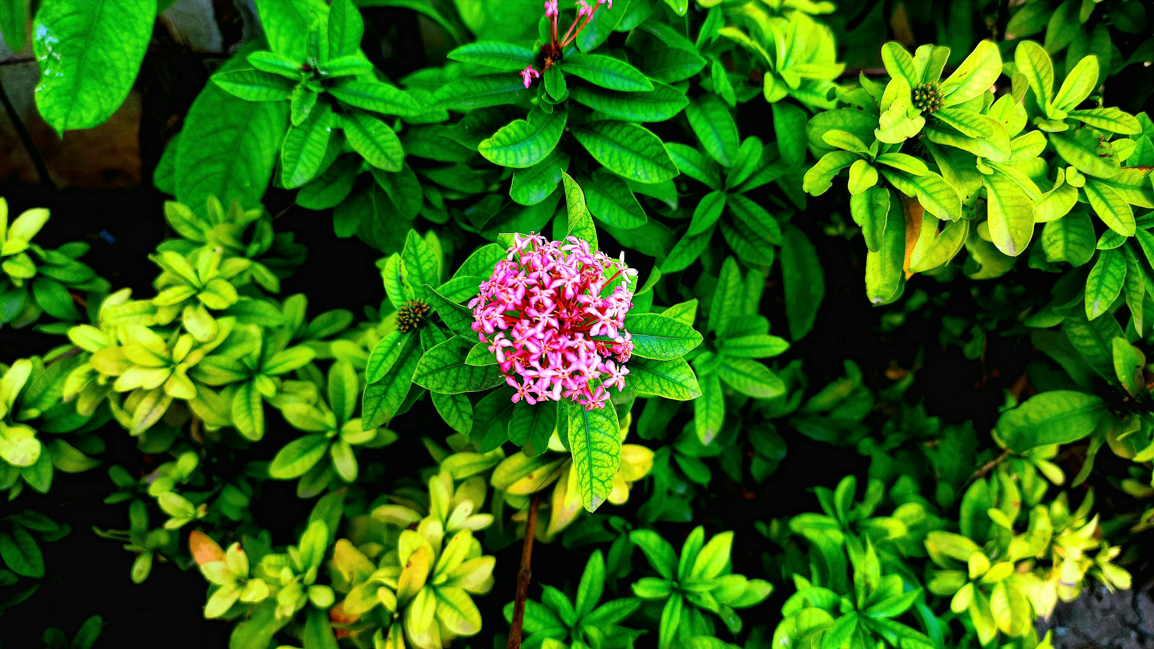 Photo by meetdhruv007