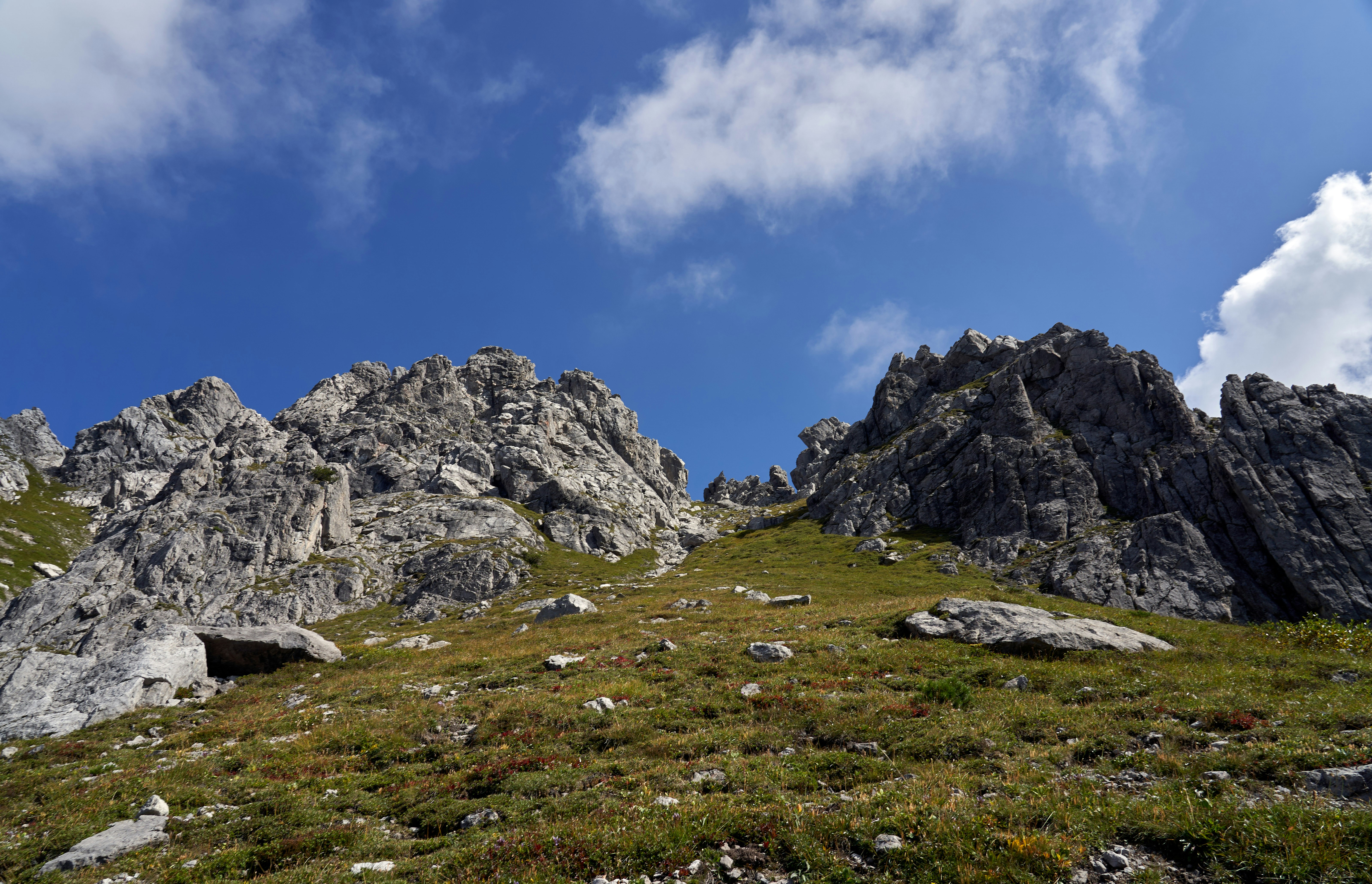 Photo by wolfgang_hasselmann