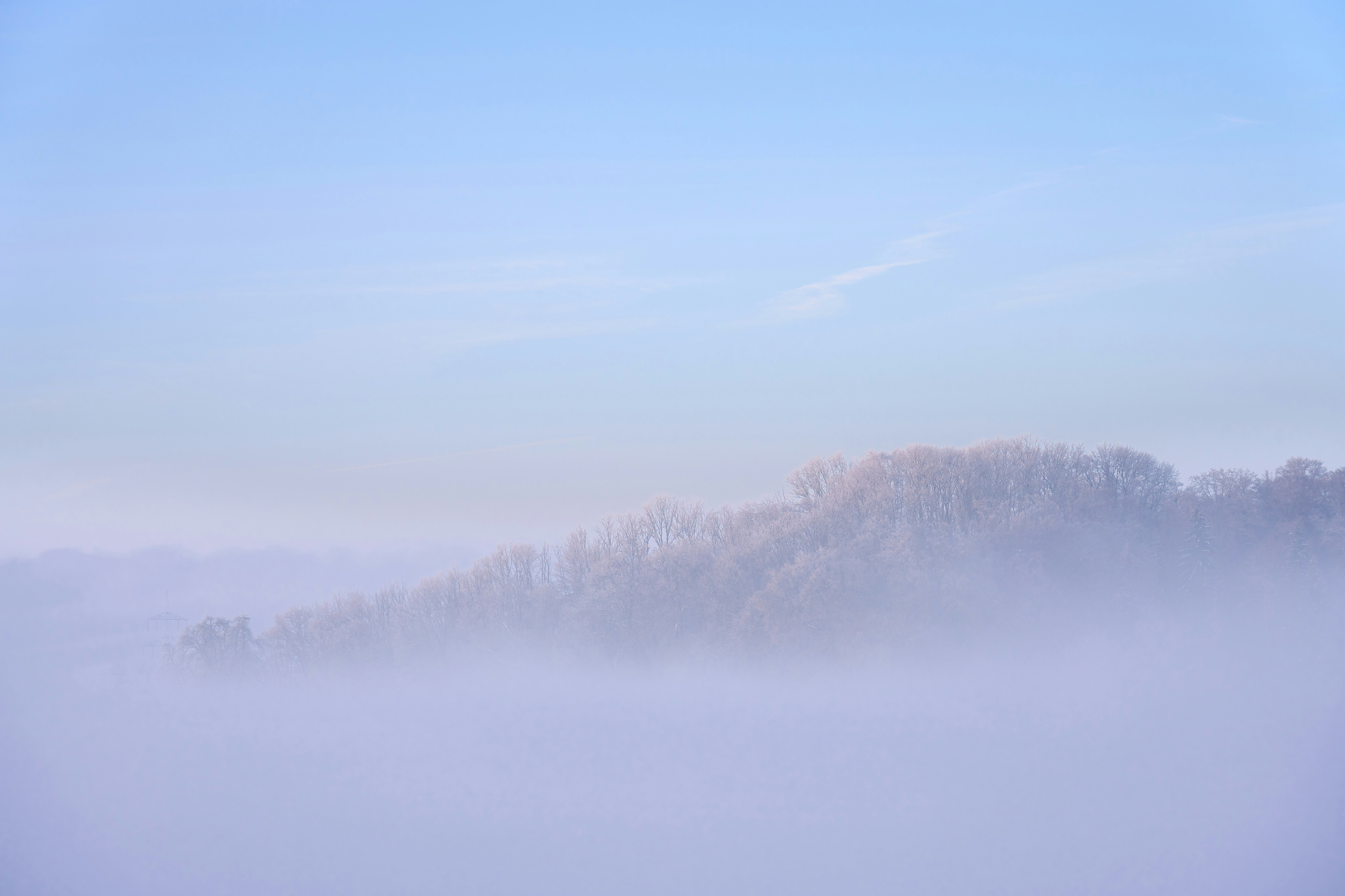 Photo by wolfgang_hasselmann