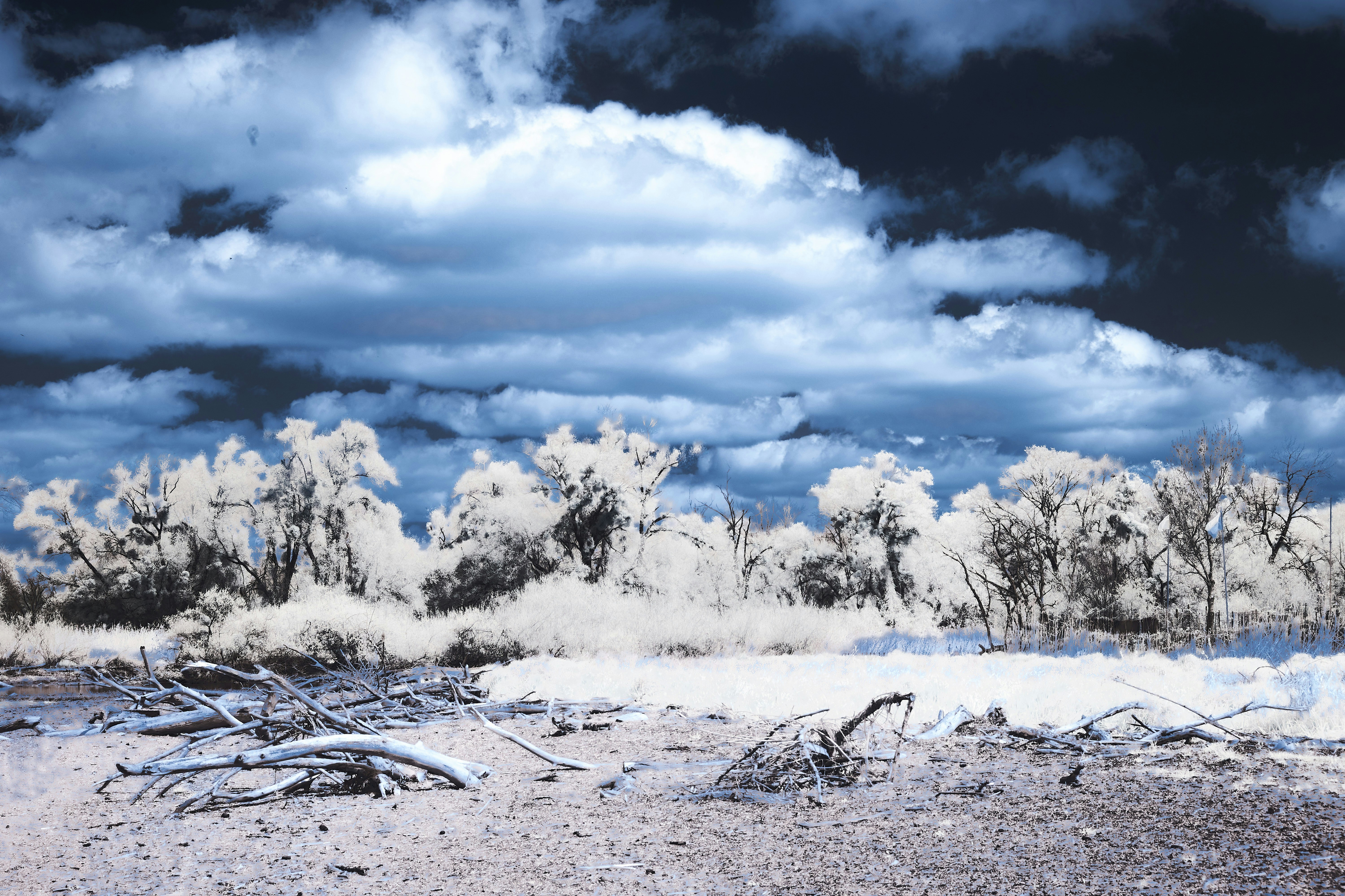 Photo by wolfgang_hasselmann