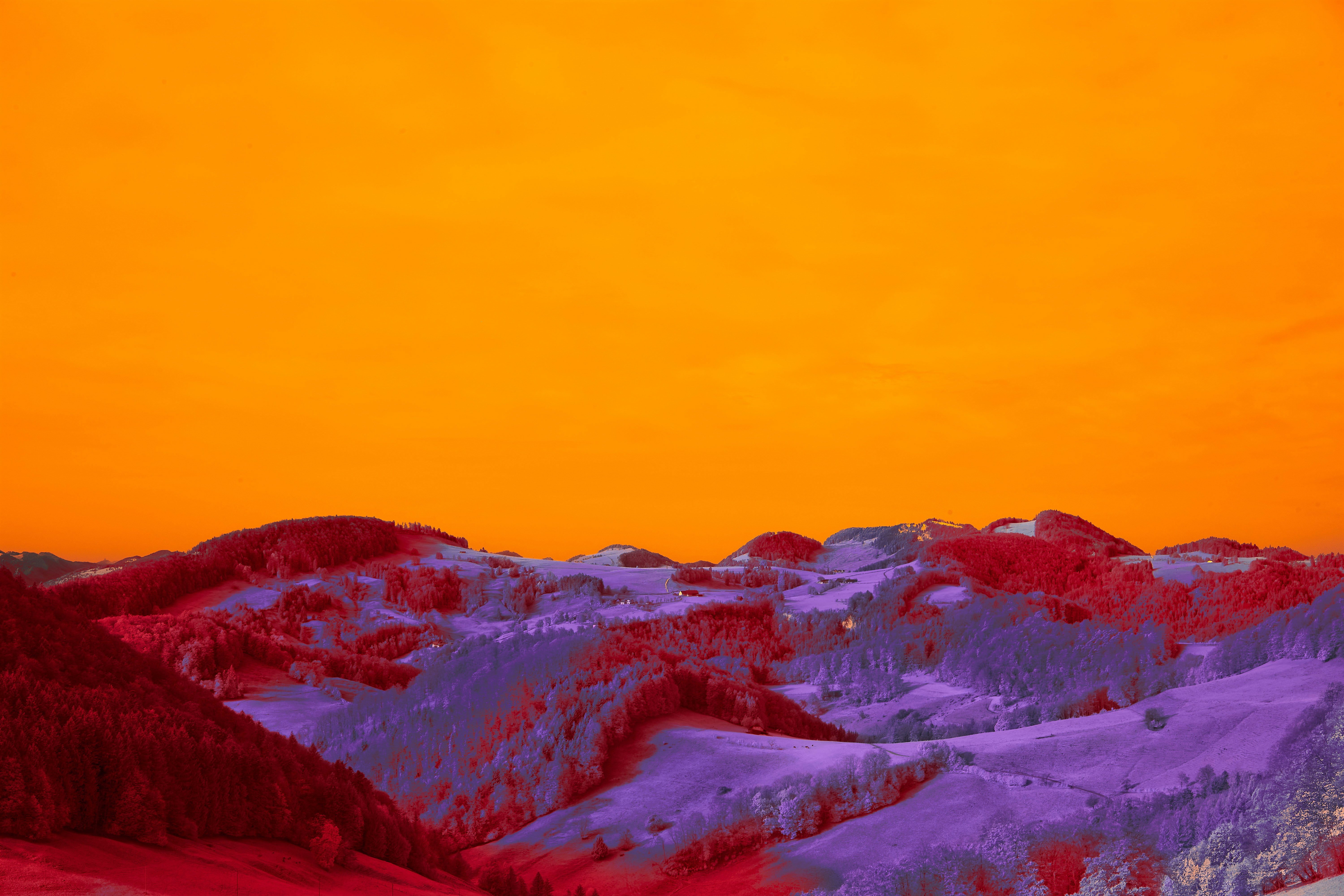 Photo by wolfgang_hasselmann