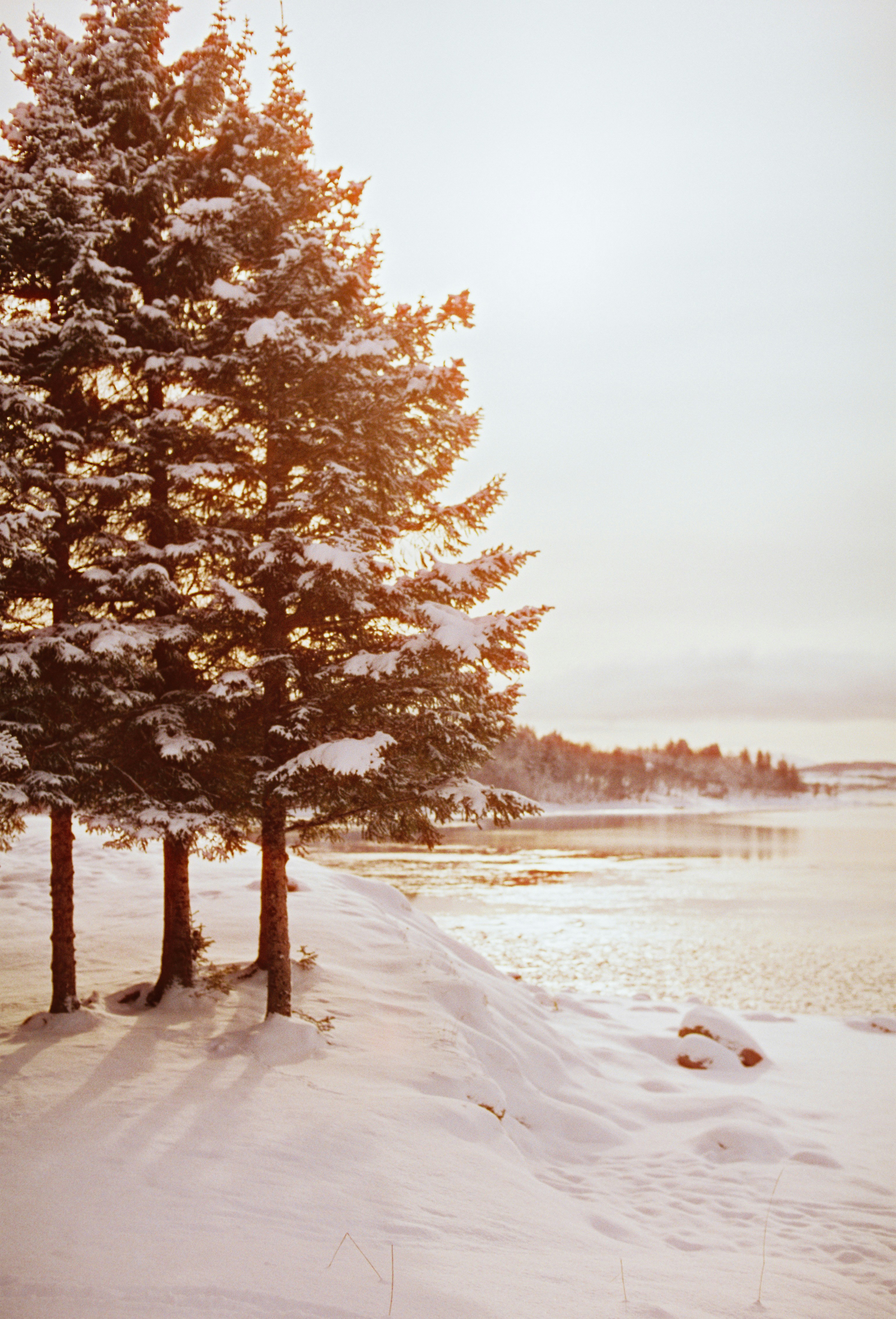Photo by krowdeed