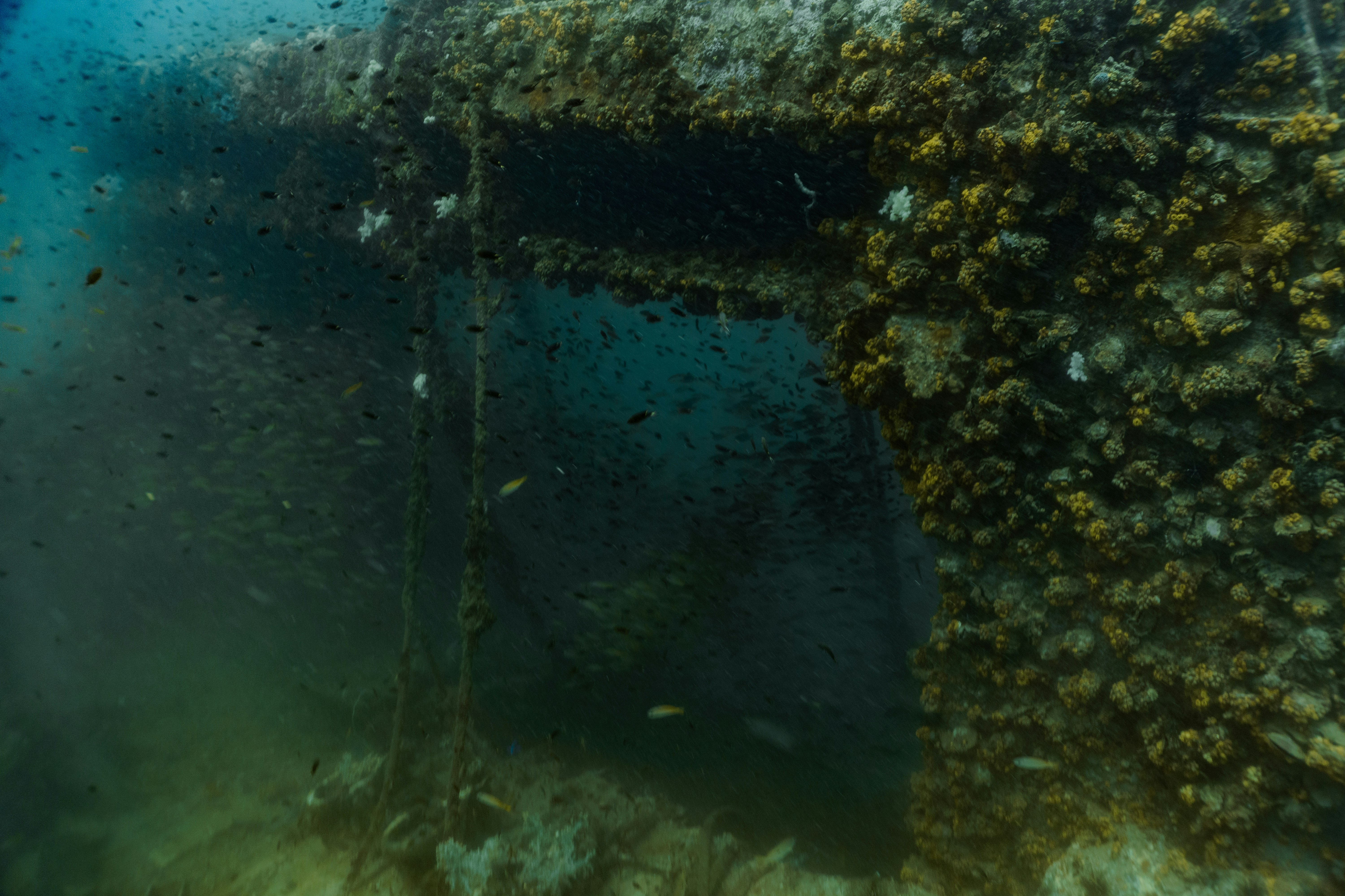 Living Legacy of Lost Worlds (image credits: unsplash)