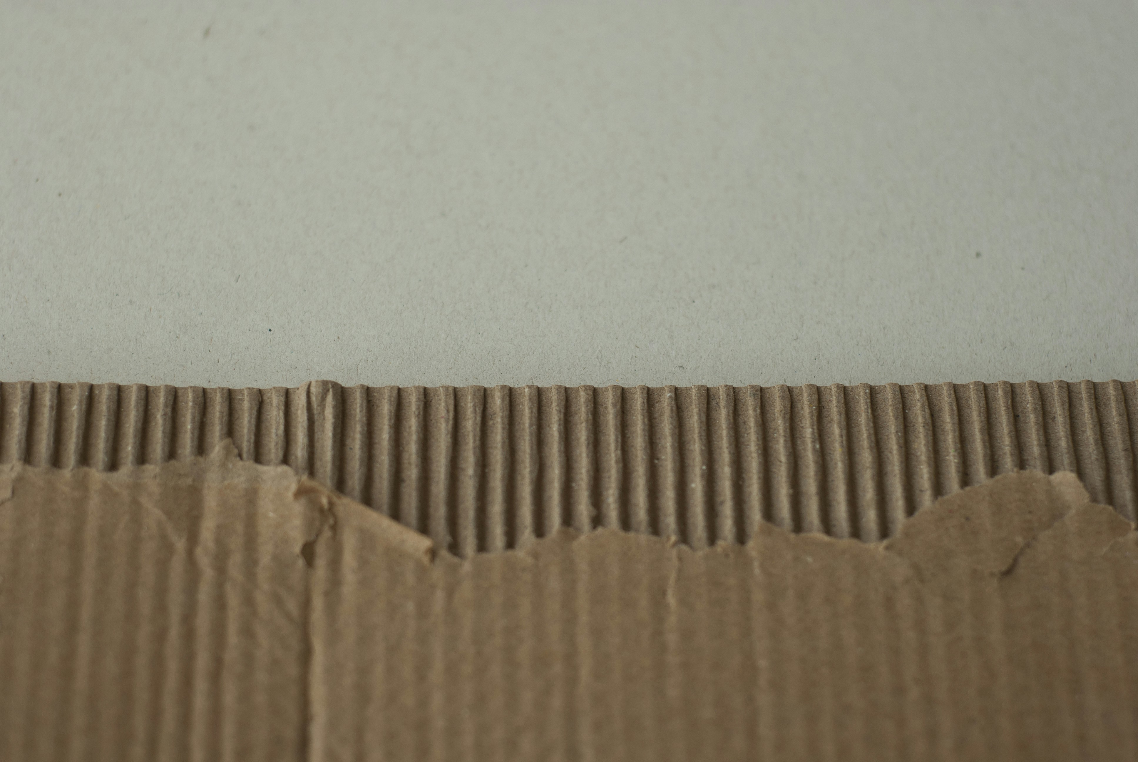 photo-1742463413520-2037d86df1d7?ixid=M3