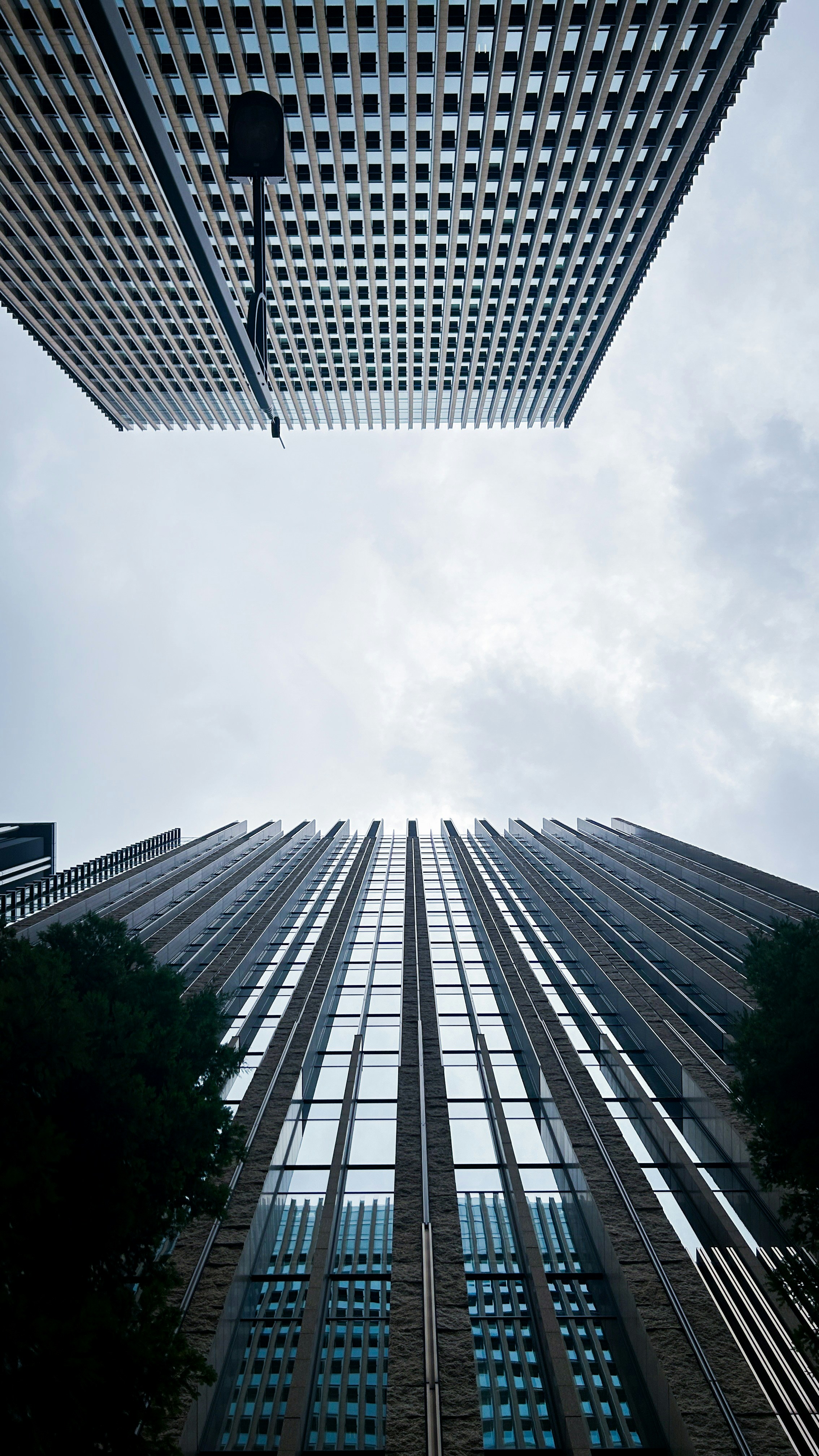 Photo by jimenatinoco