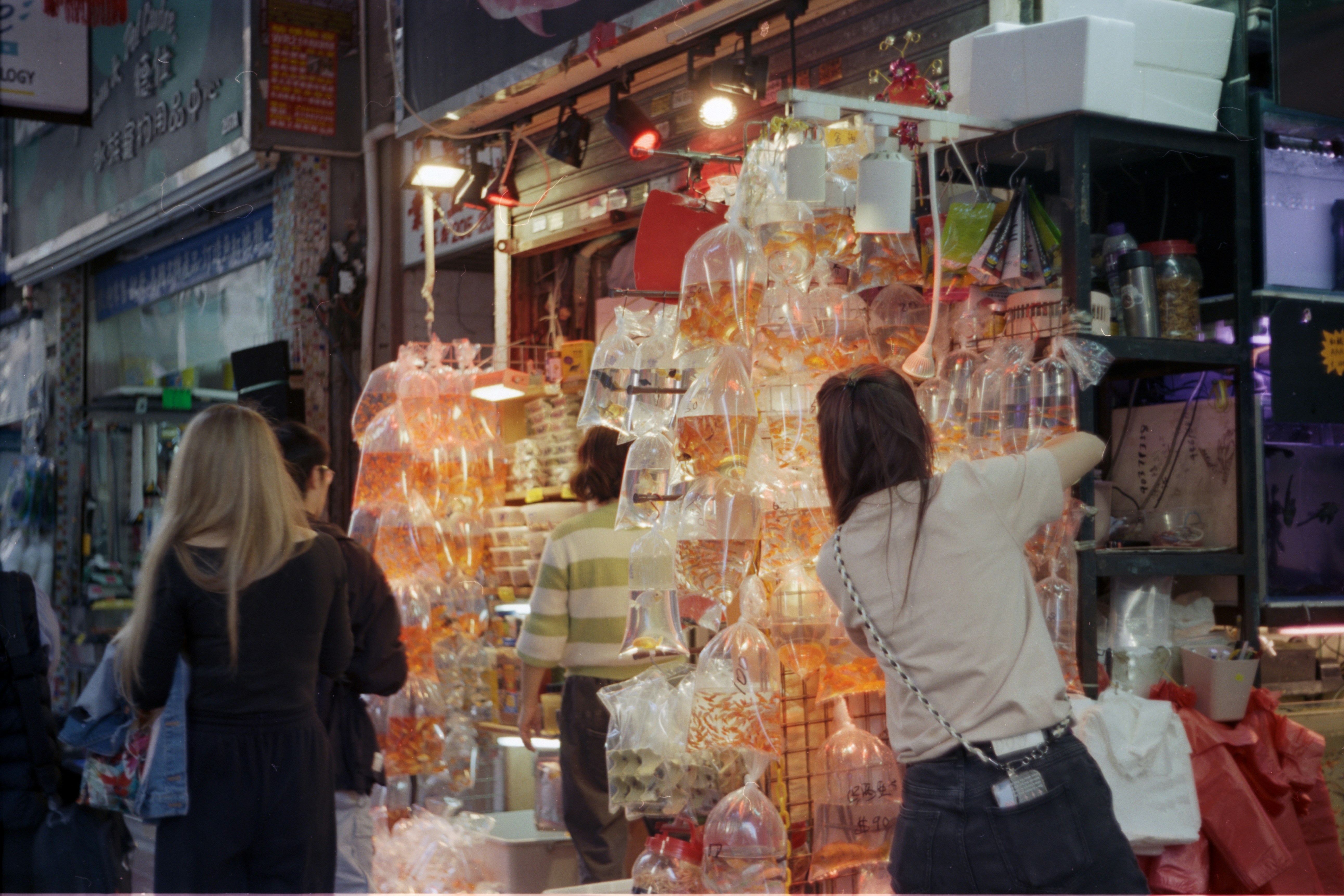People shop for goldfish at an outdoor market.