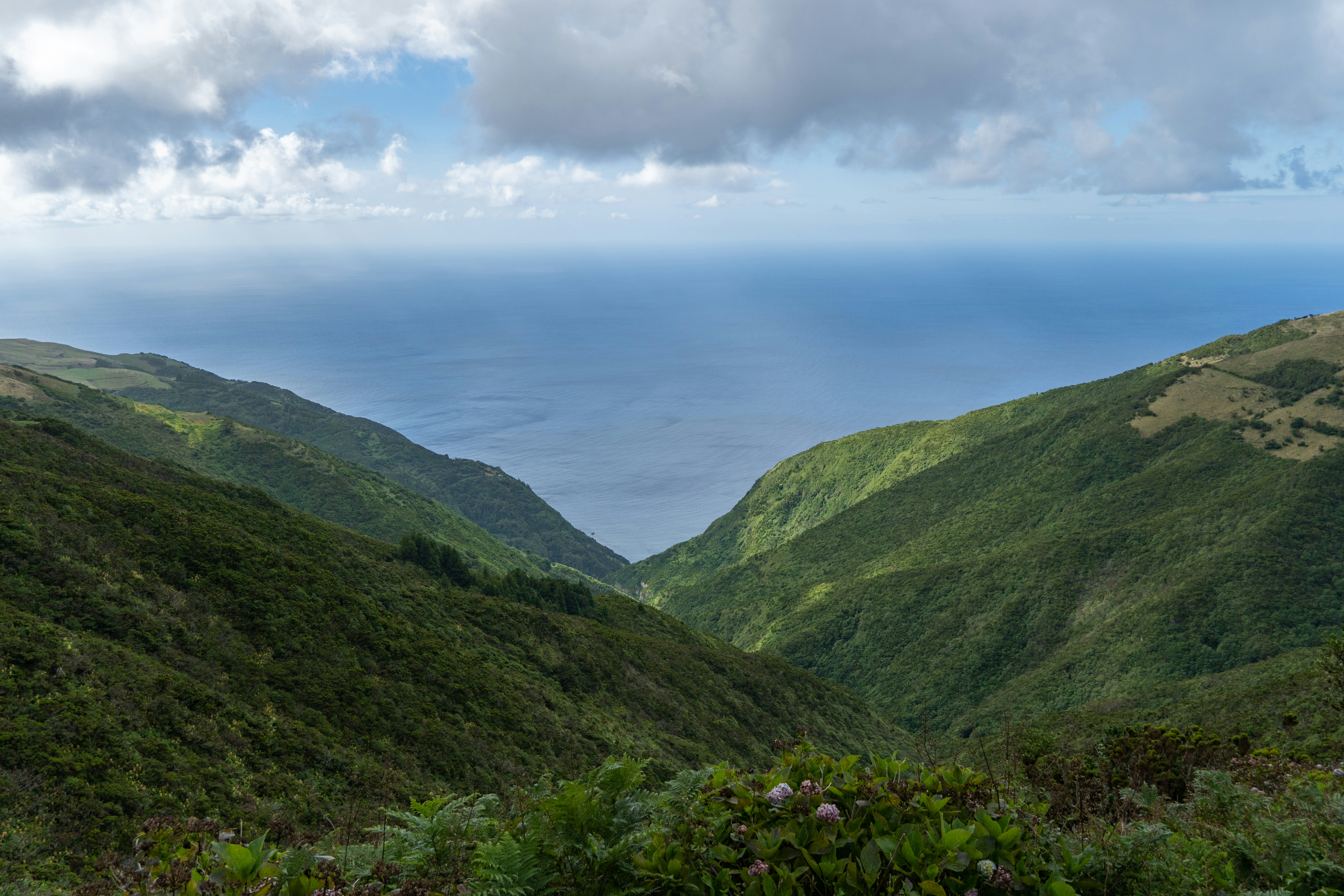 Rolling green hills lead to the ocean view.