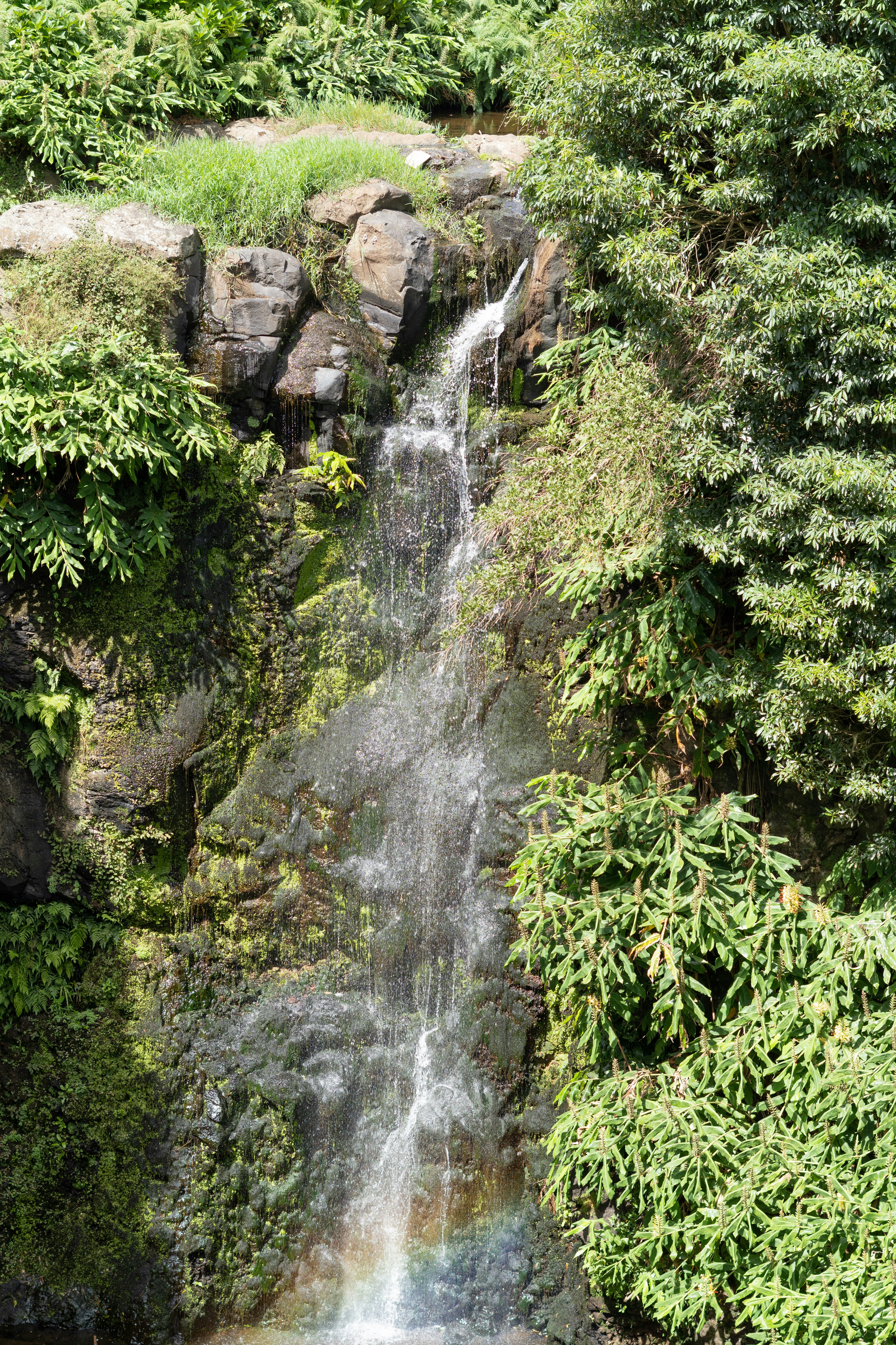 A small waterfall cascades with a subtle rainbow.