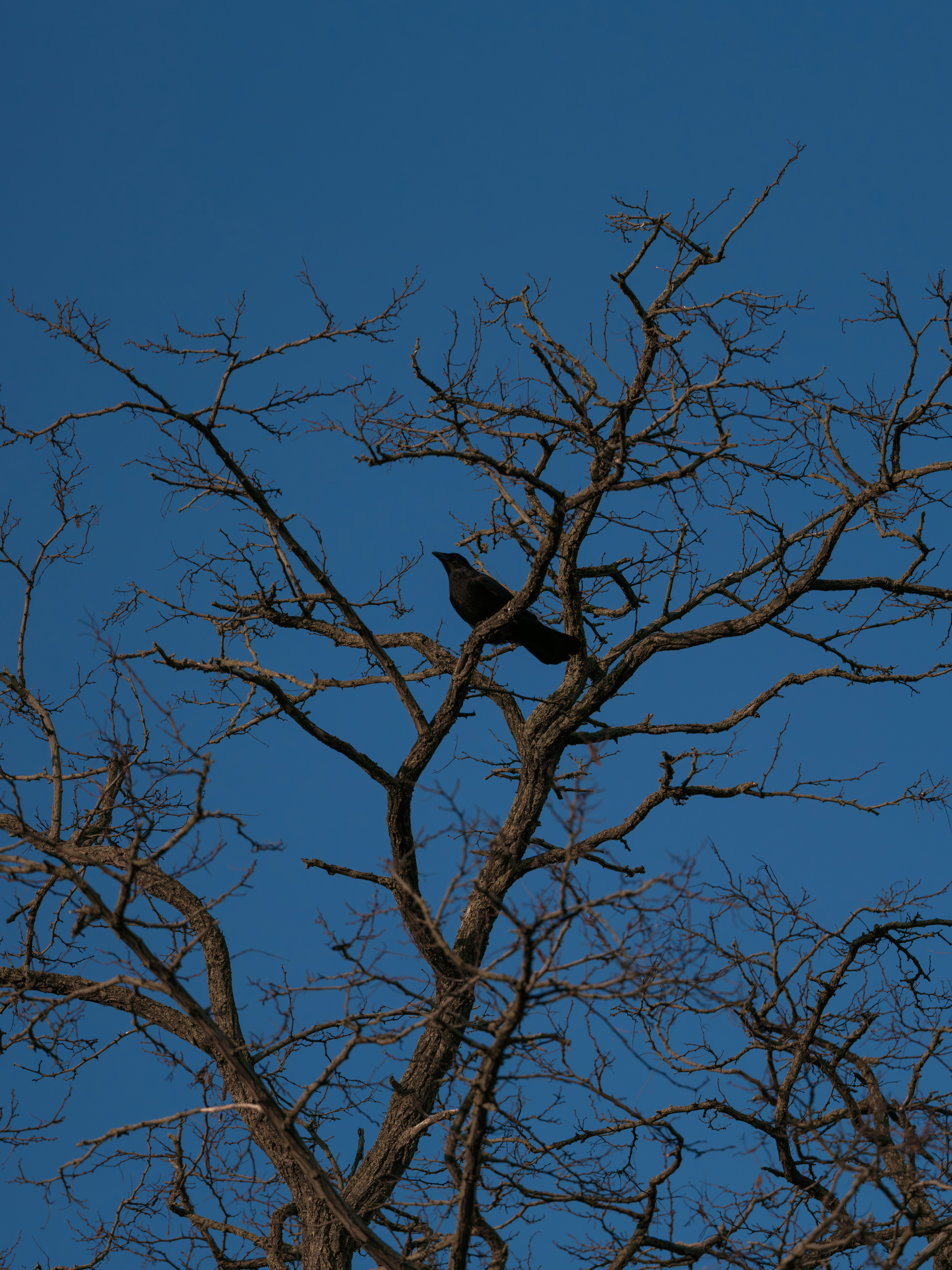 Photo by haberdoedas