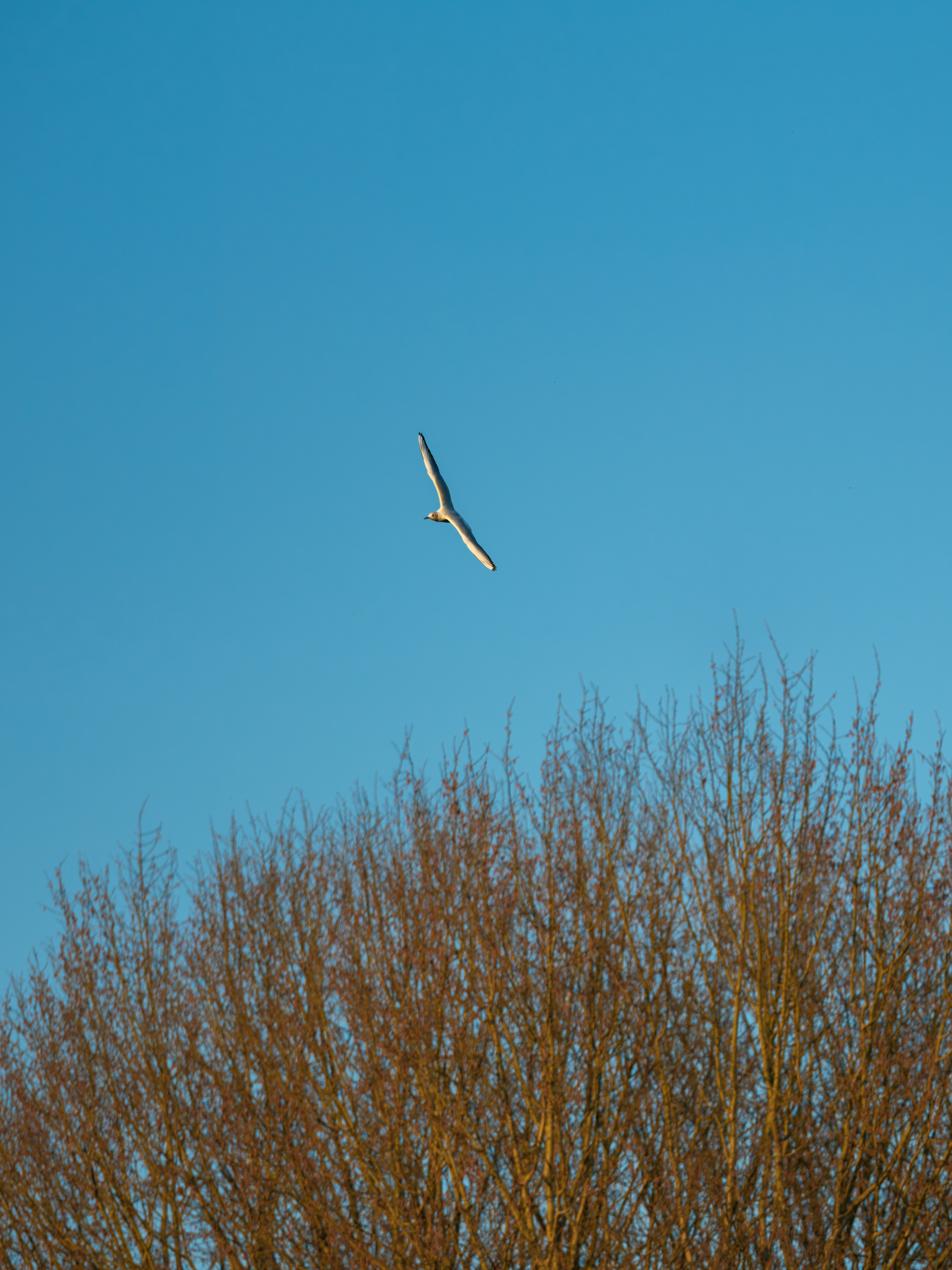 Photo by haberdoedas