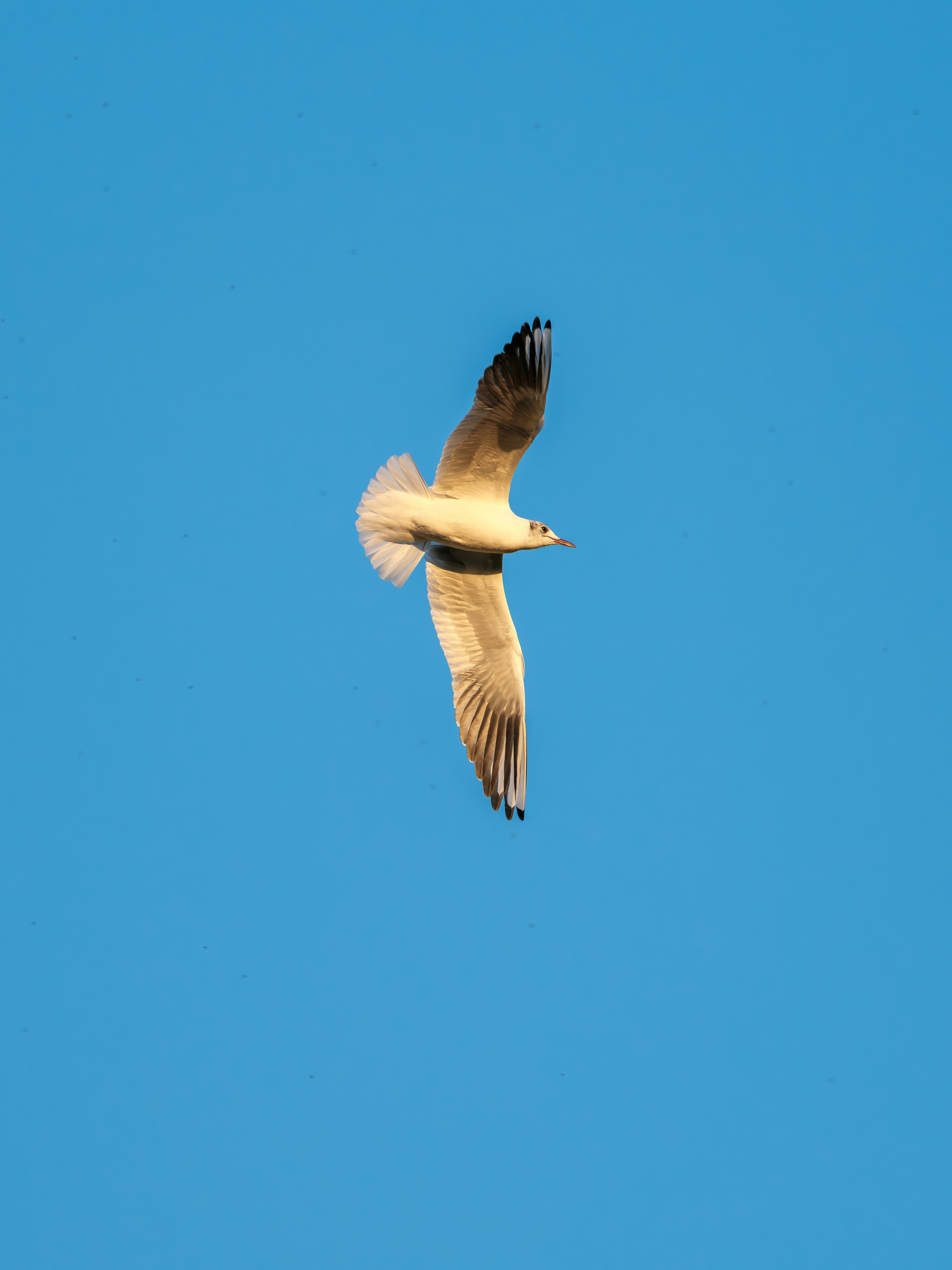 Photo by haberdoedas