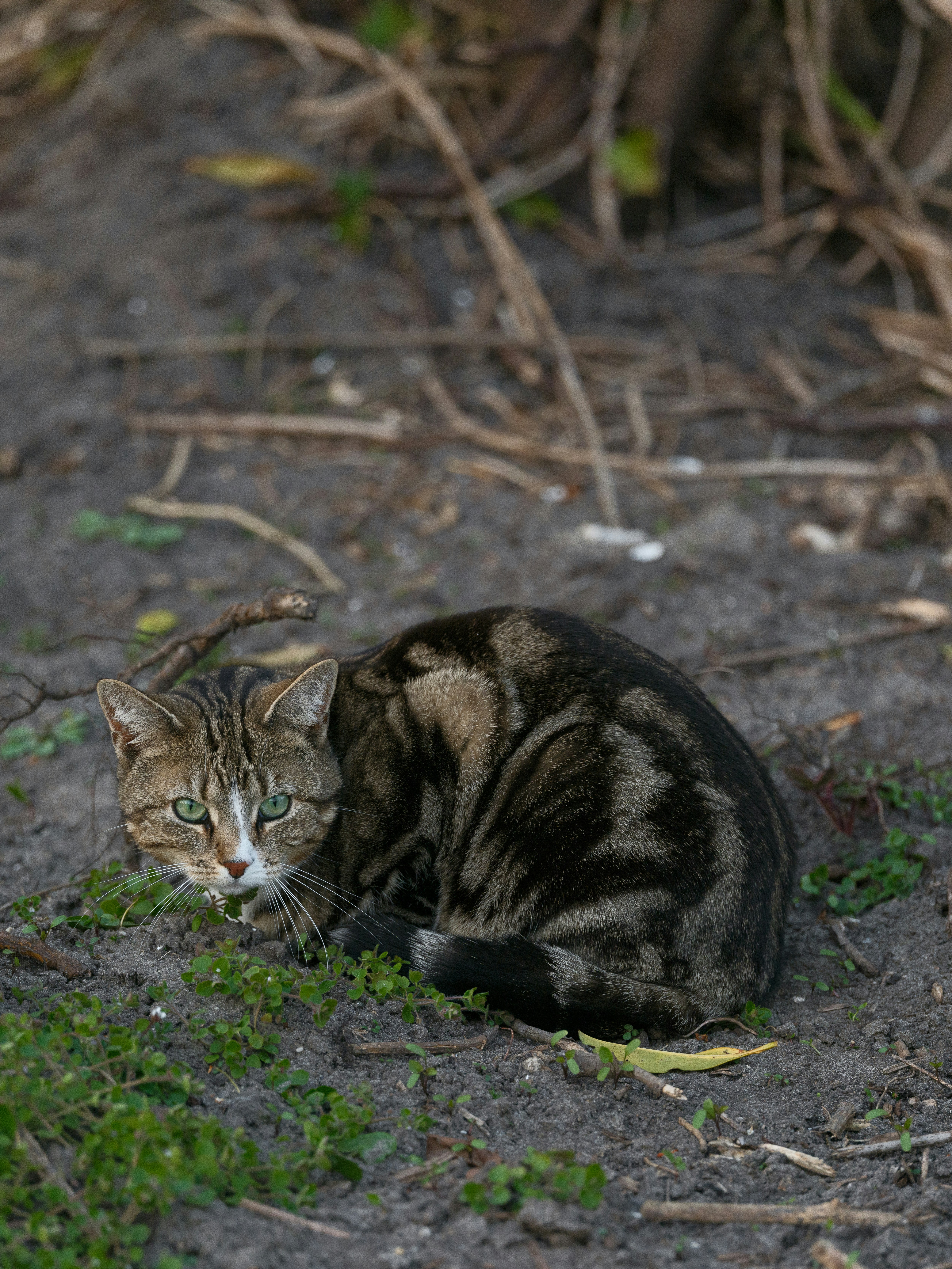 Photo by haberdoedas