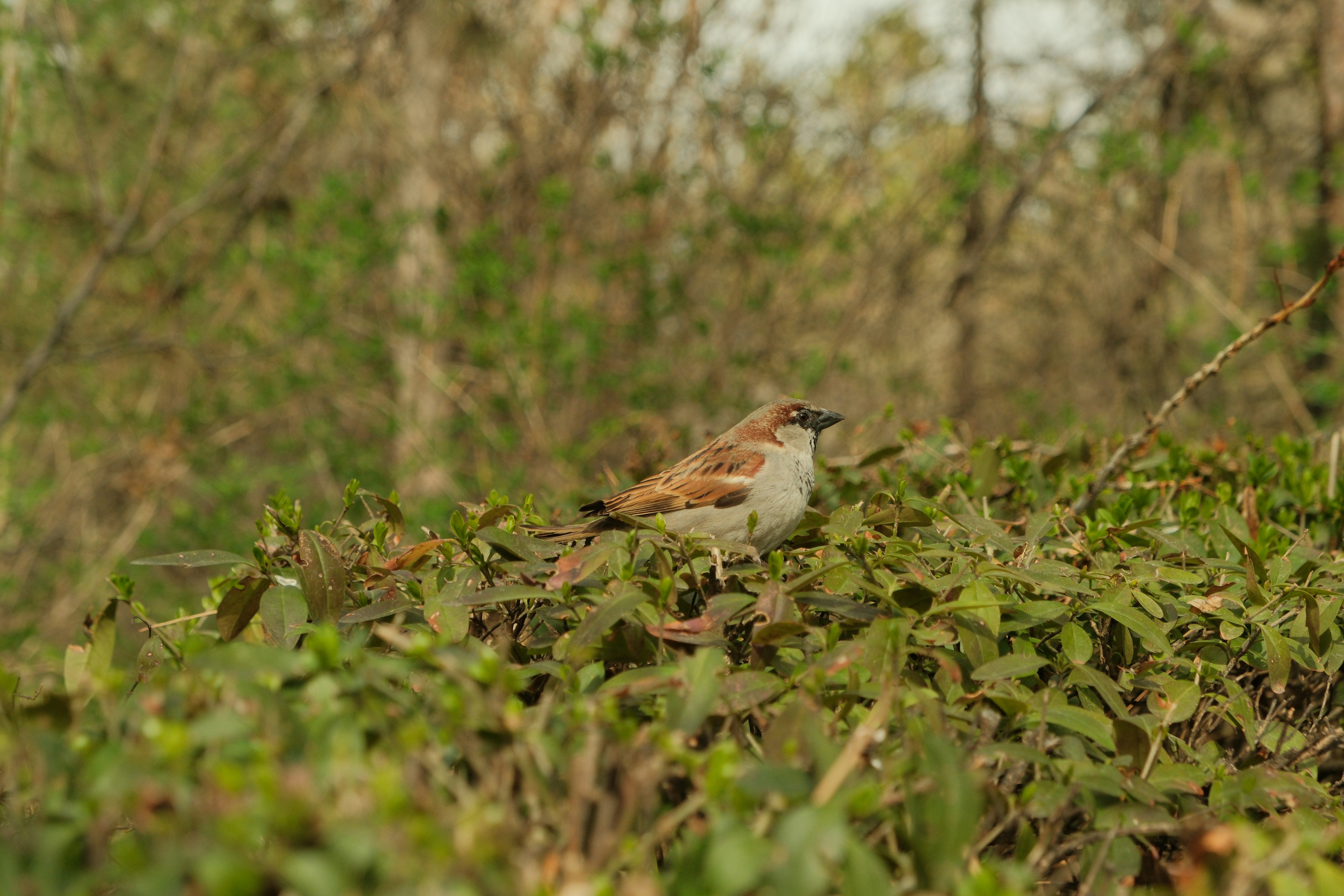 Photo by ismailefetop