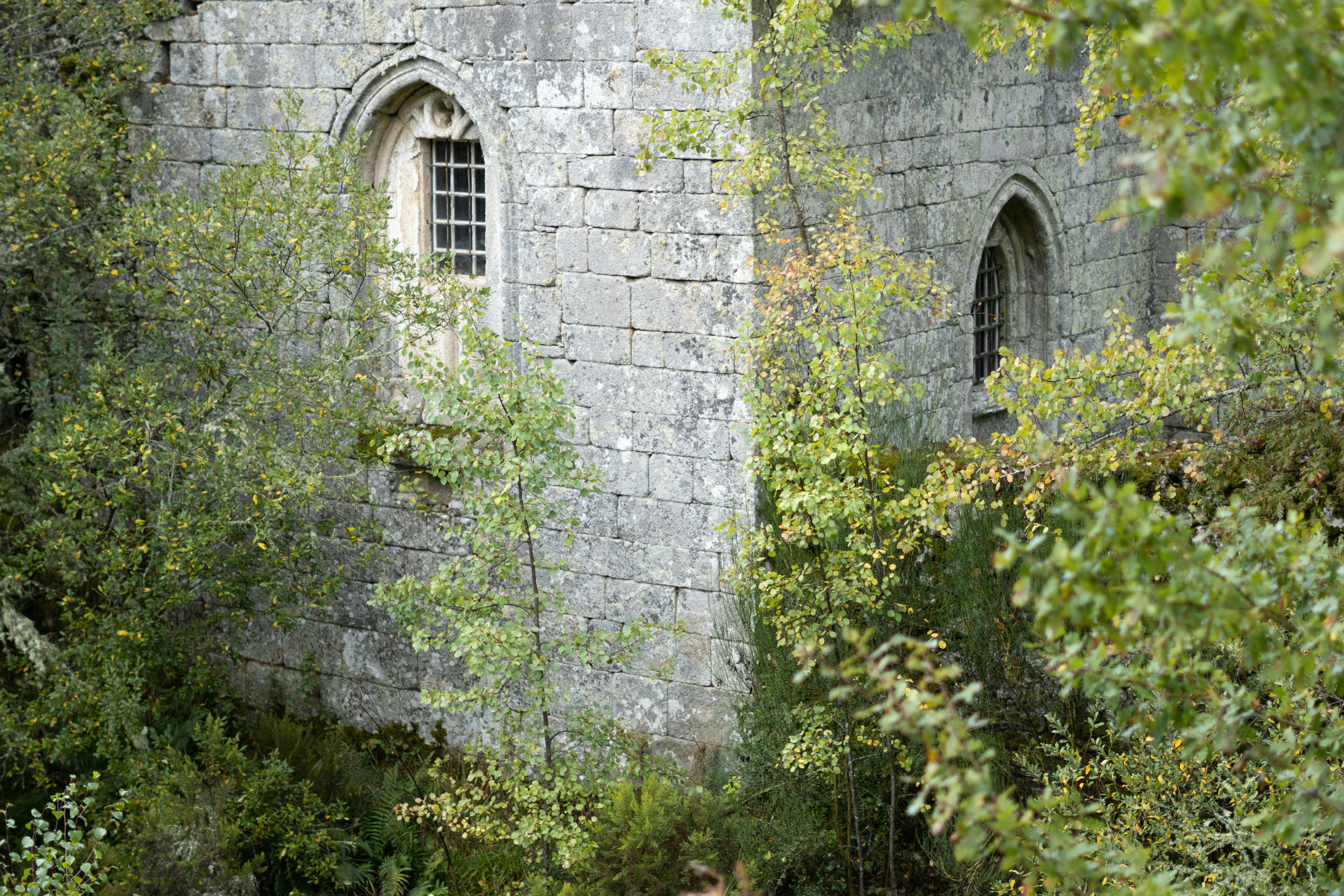 Old stone building with gothic windows surrounded by trees.