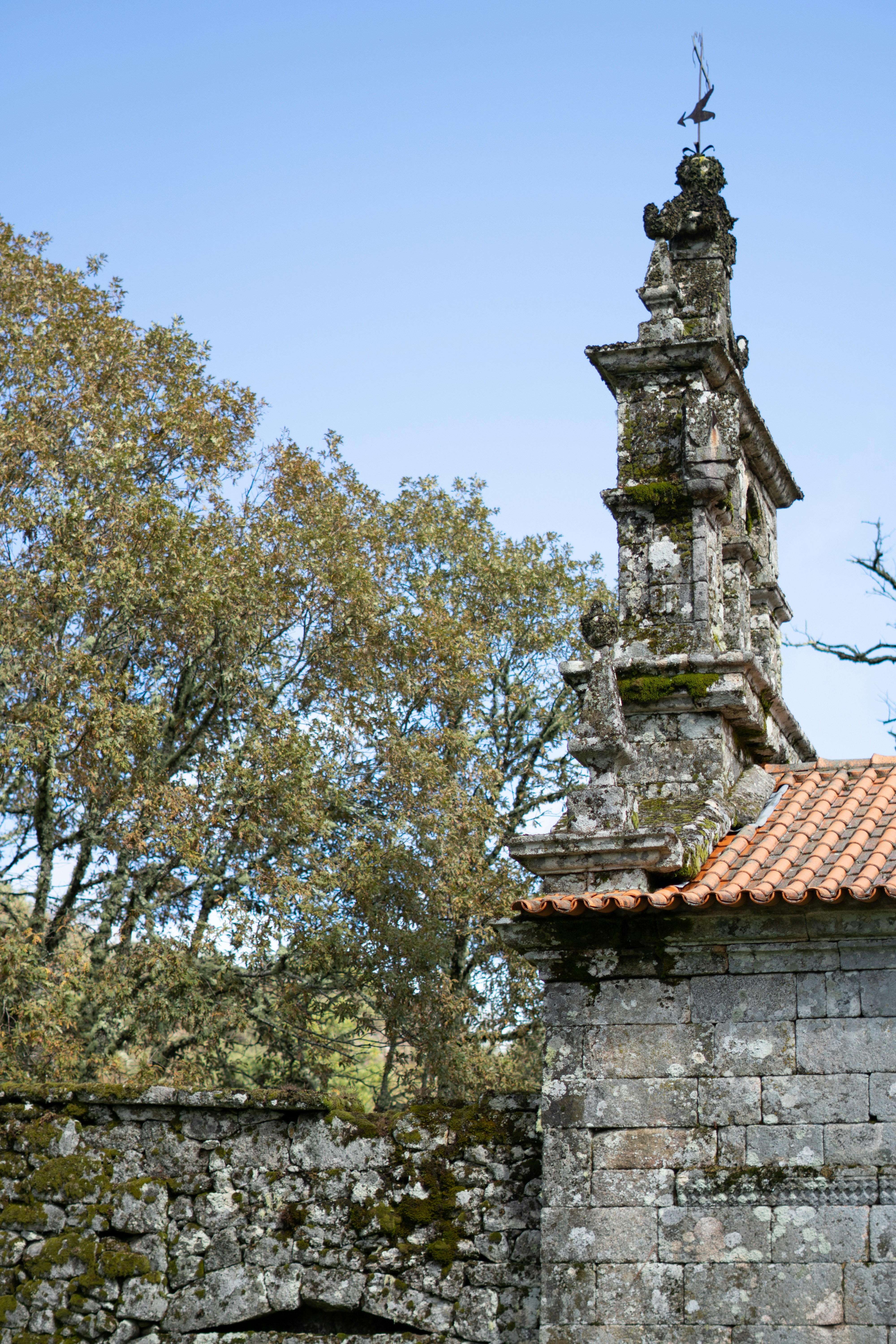 Old stone building and tree under a blue sky.