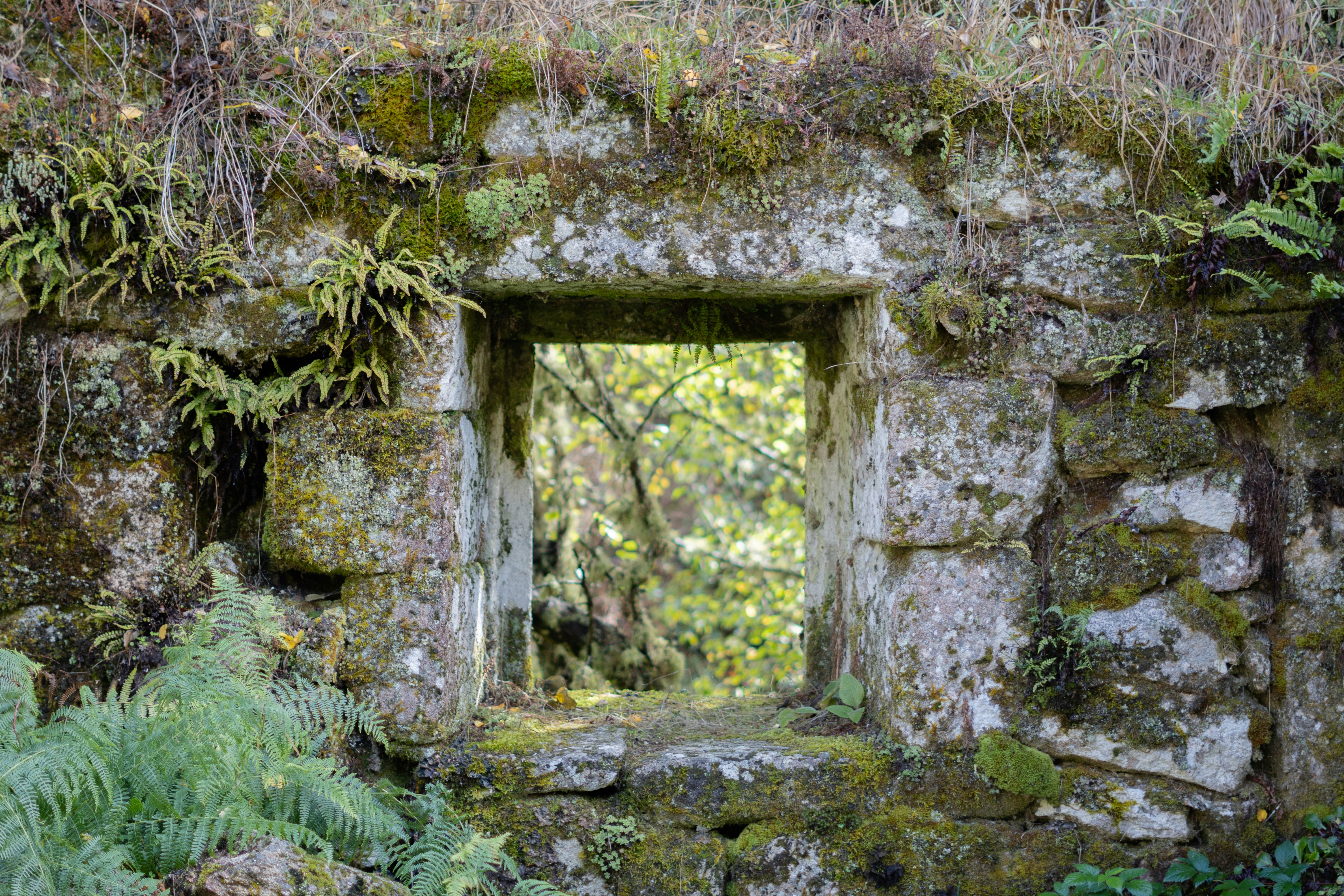 A stone window opens to nature's view.