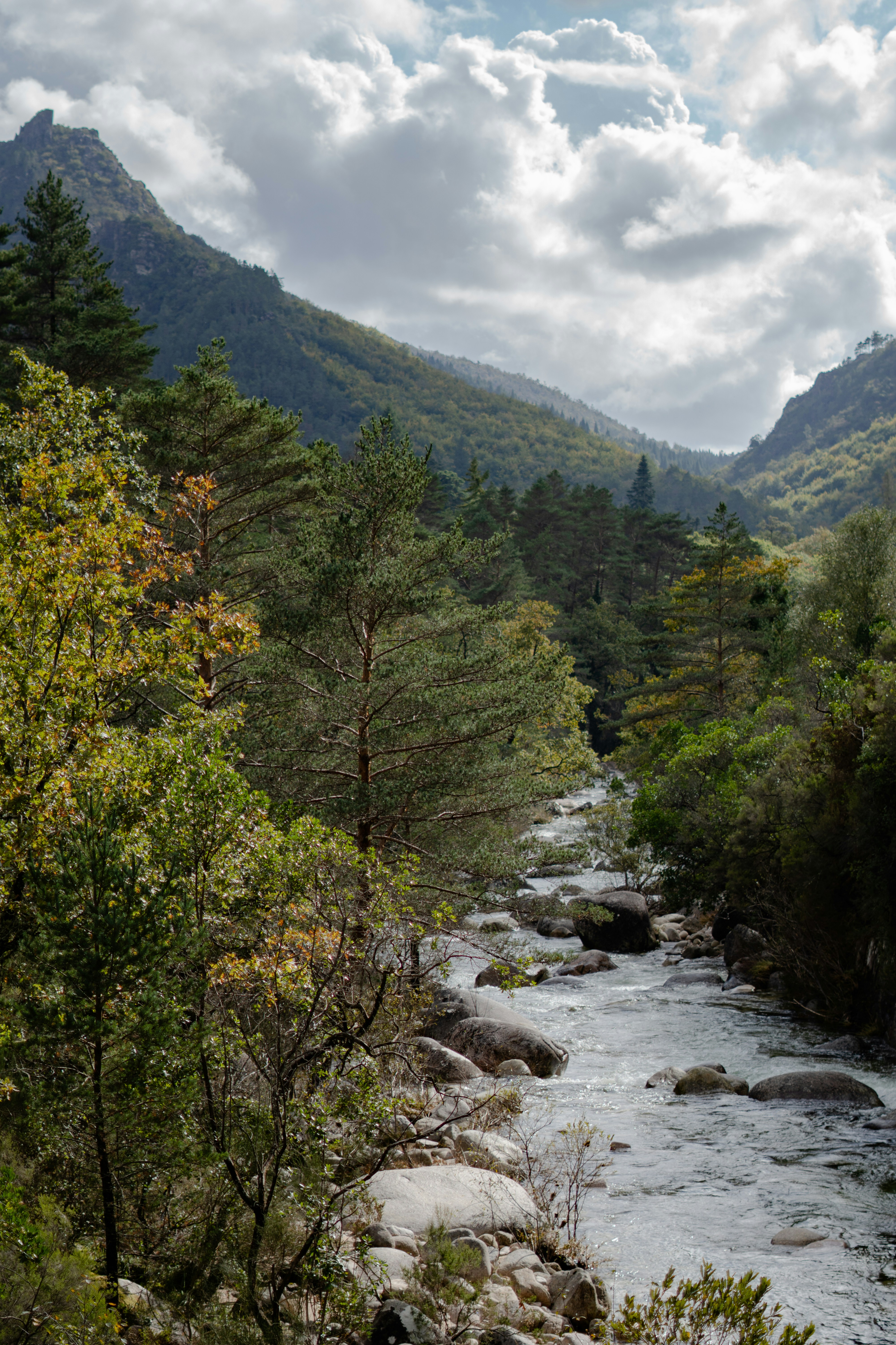 River flows through a lush valley with mountains.