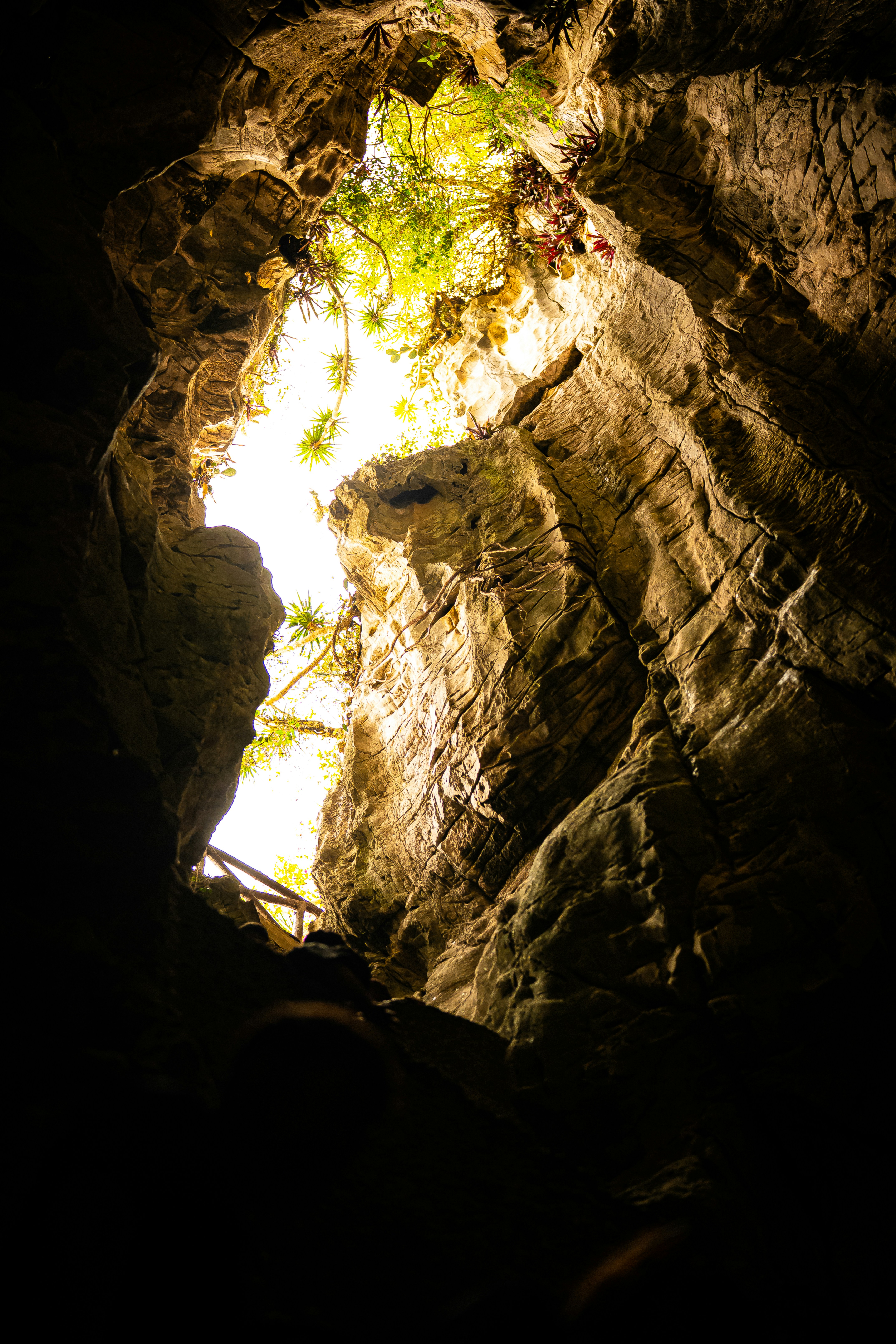 Photo by samtakespictures