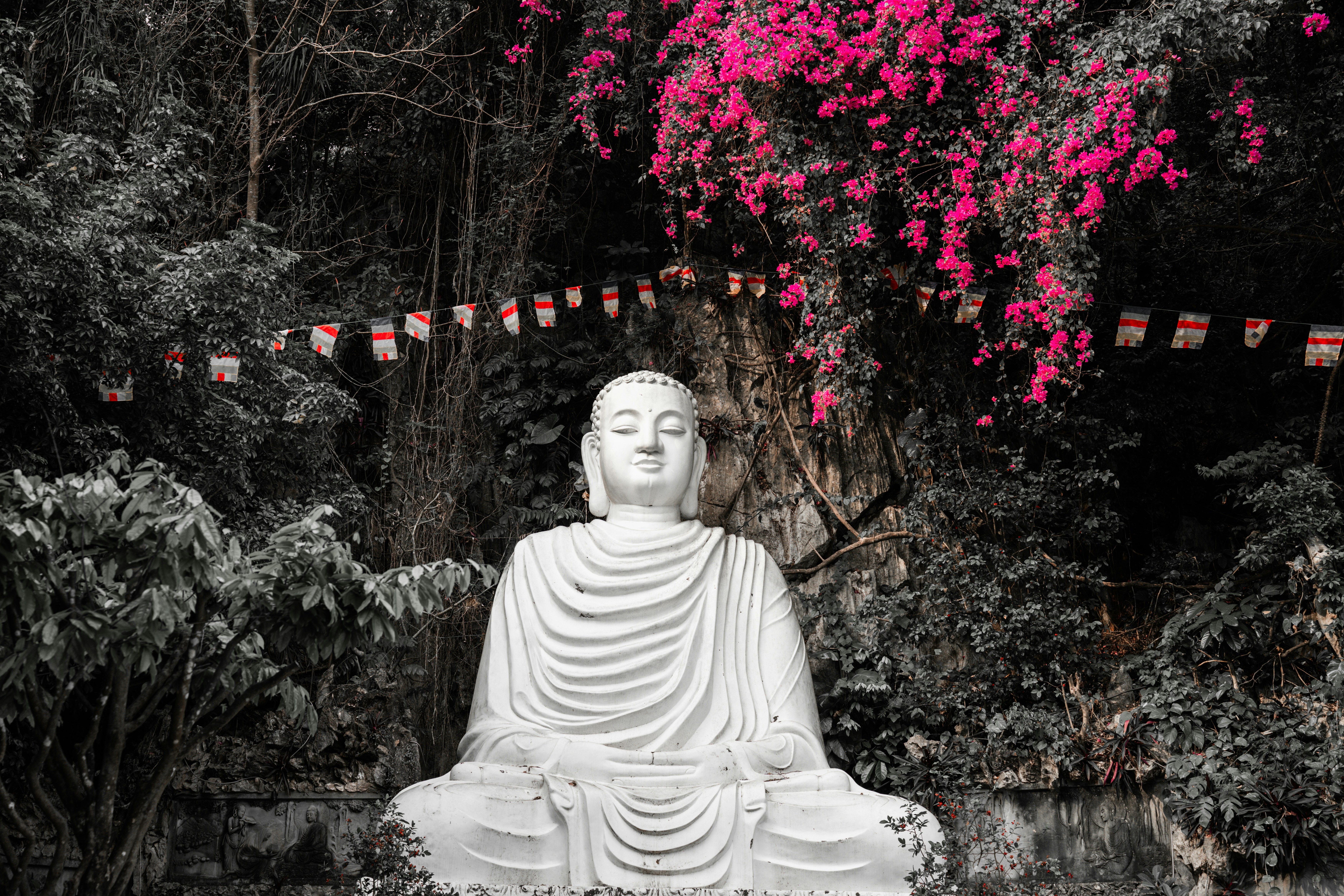 Photo by samtakespictures