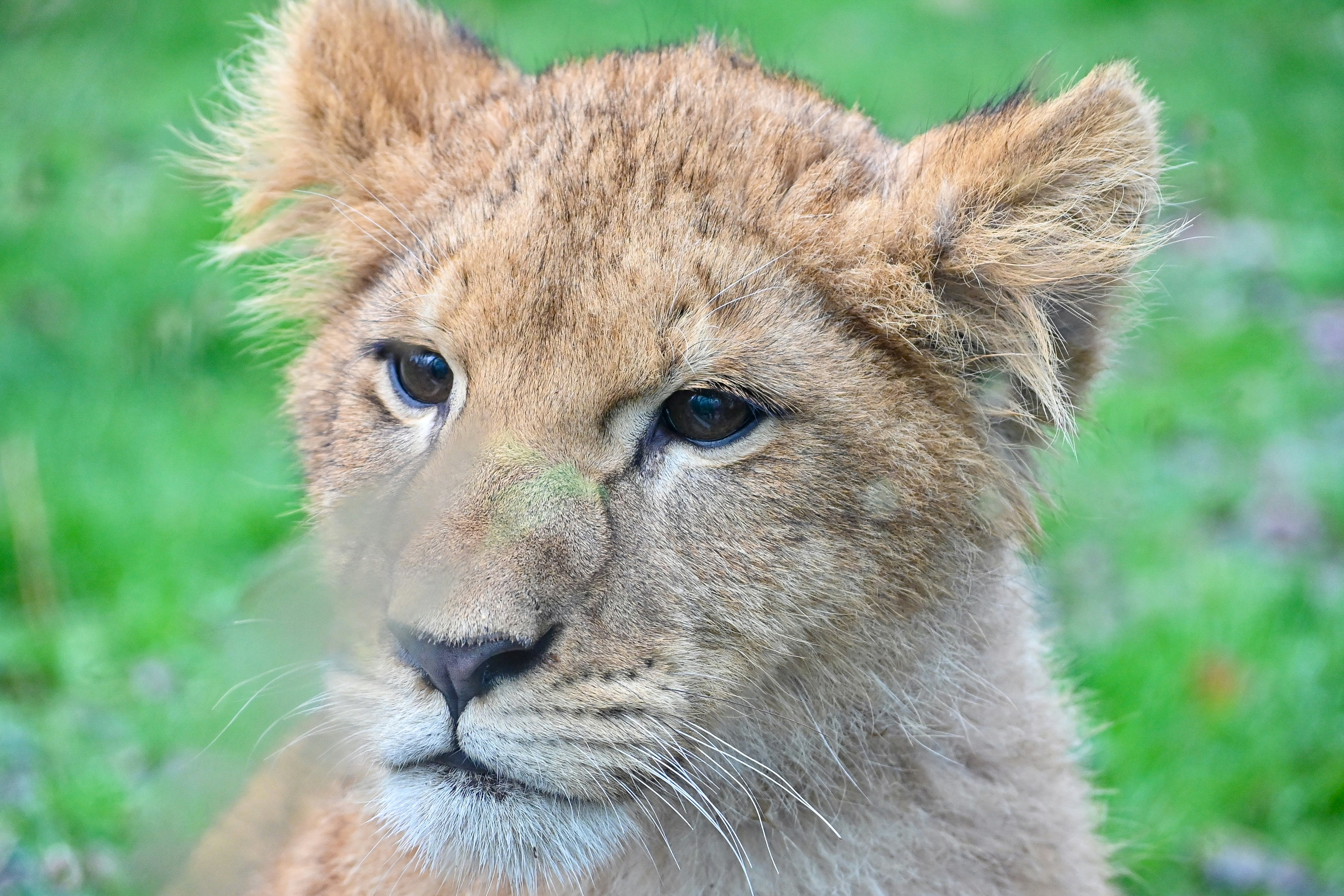 Photo by oscarbrouchot