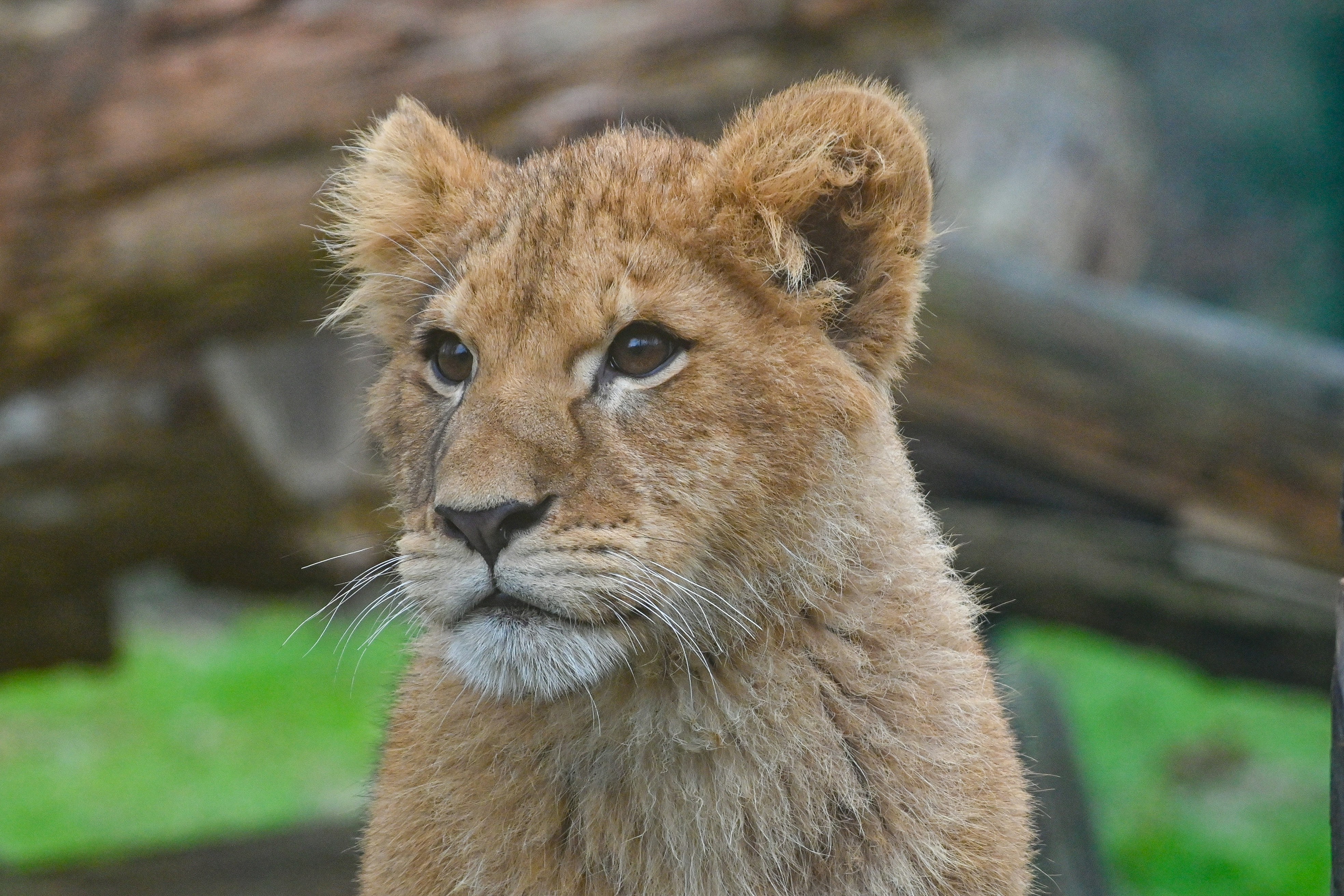 Photo by oscarbrouchot