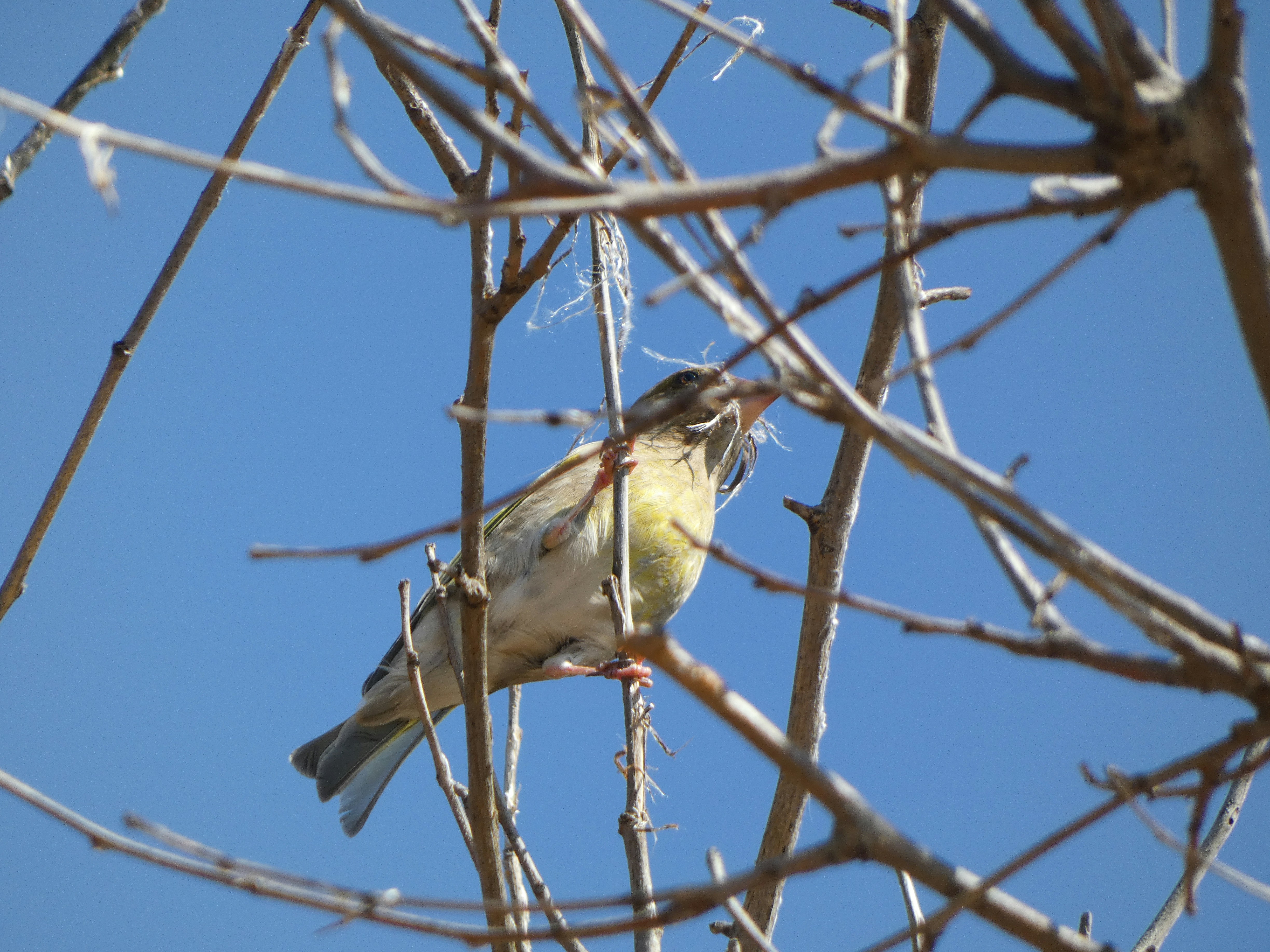 Photo by onderandinc