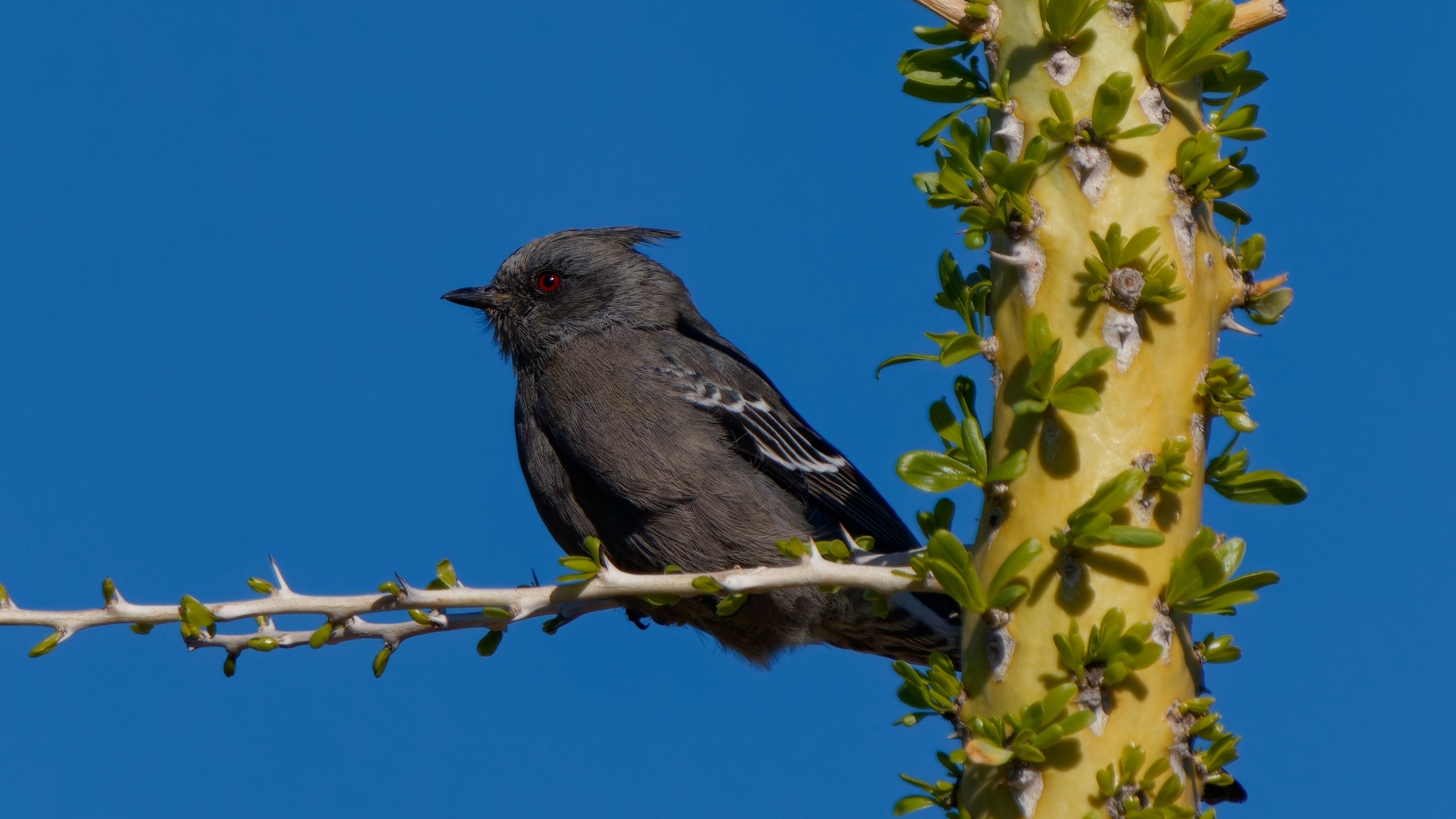 Photo by patrickbigelow_zoom_in