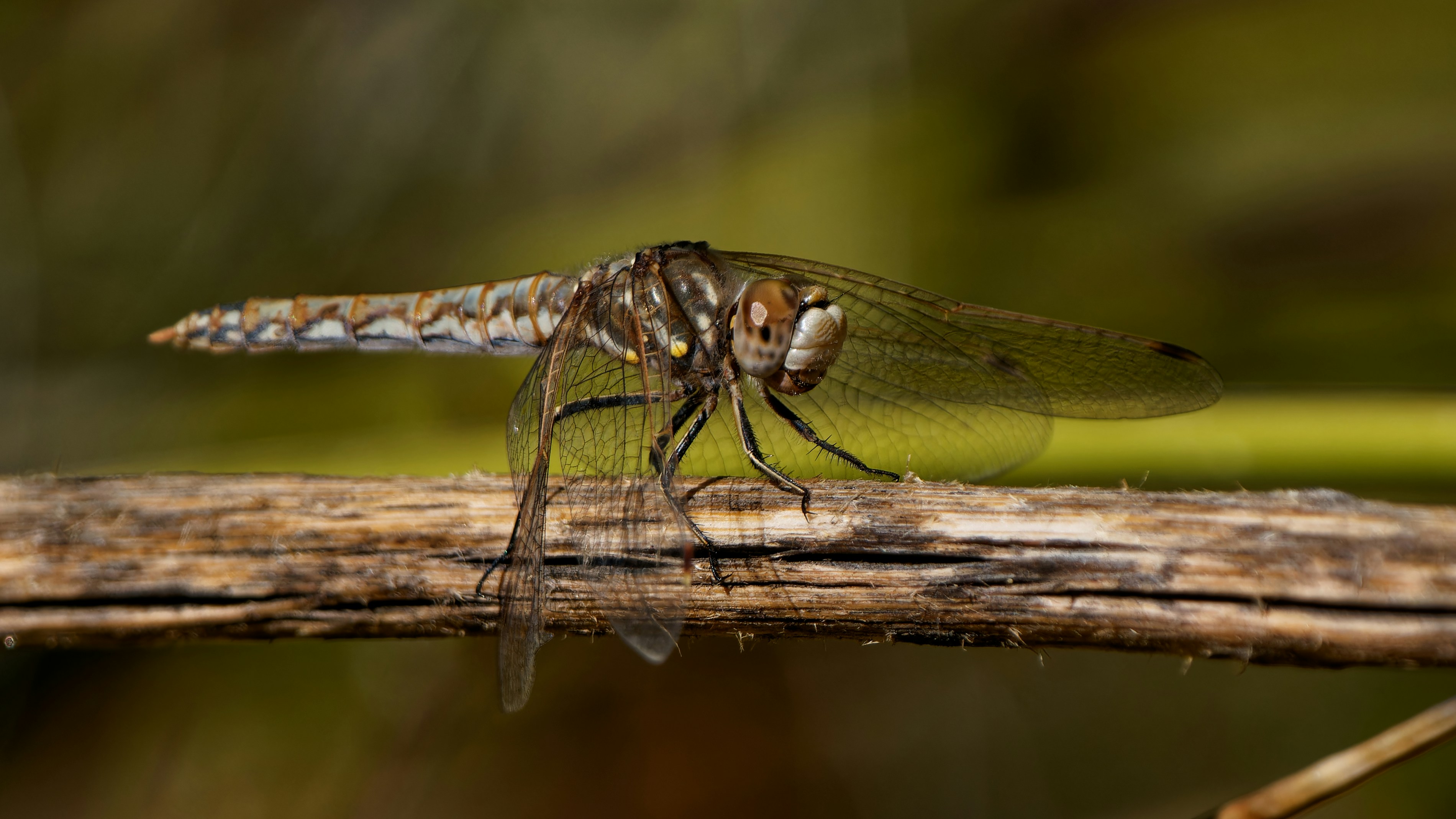 Photo by patrickbigelow_zoom_in