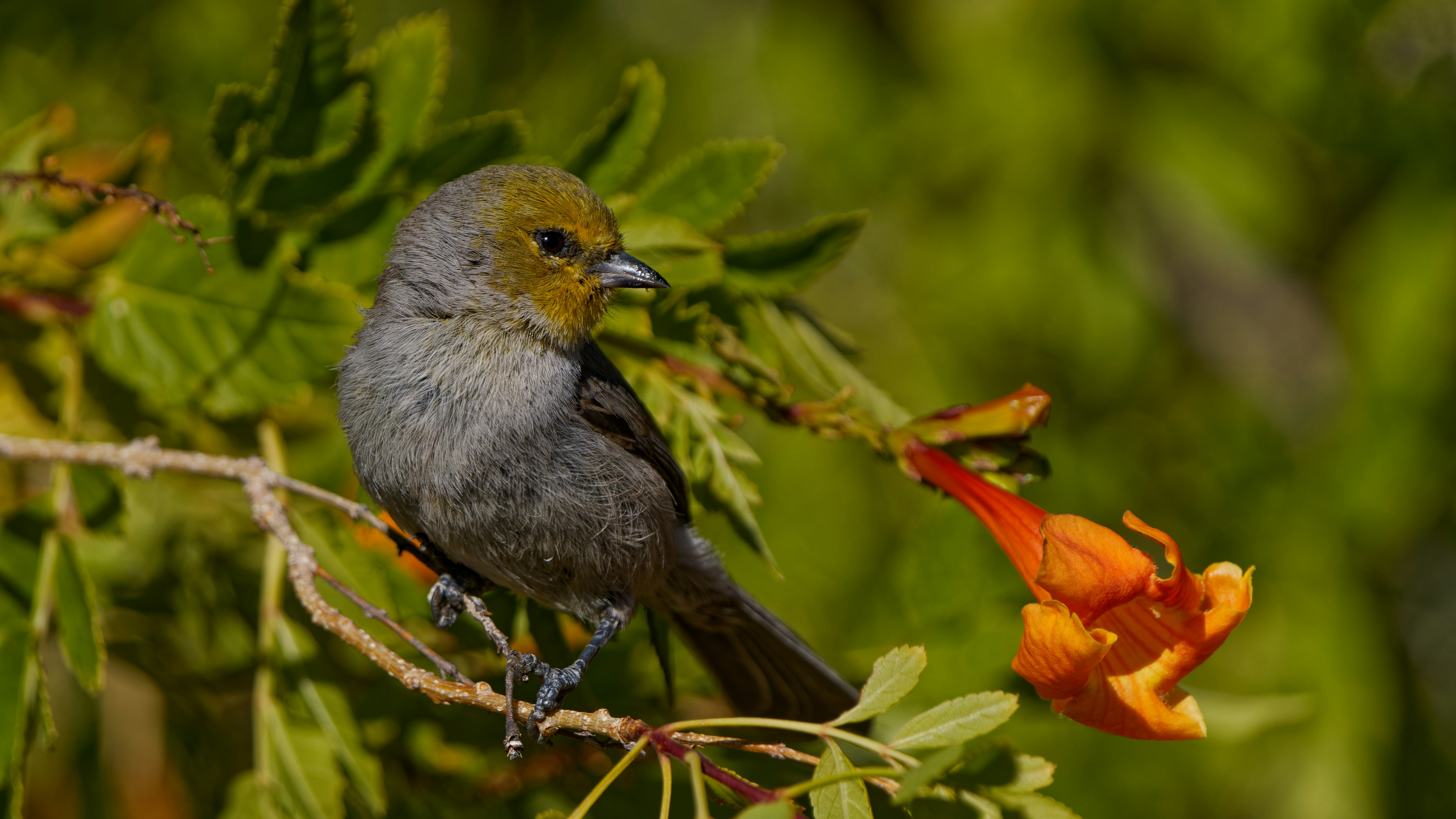 Photo by patrickbigelow_zoom_in