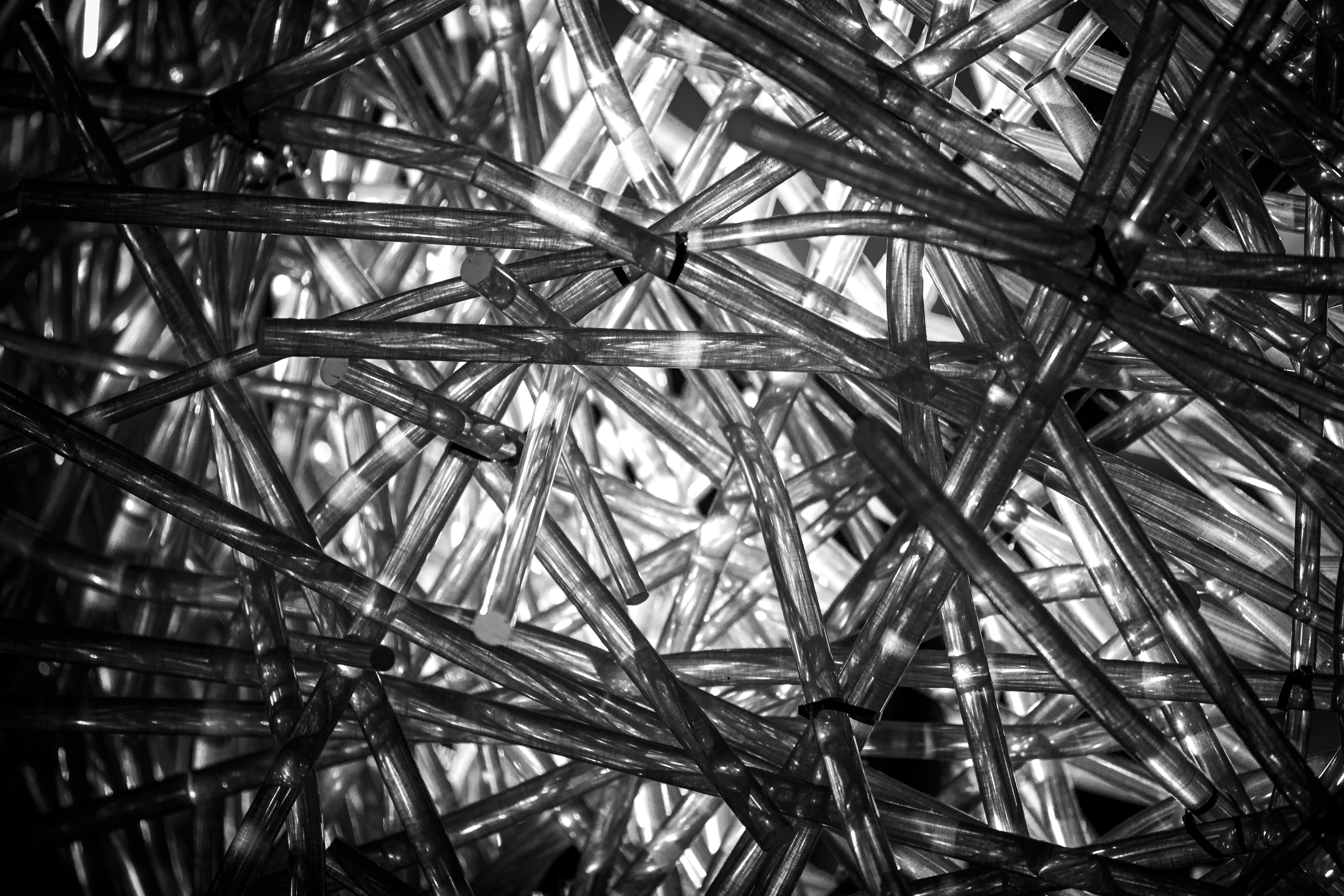 Photo by j_b_photography