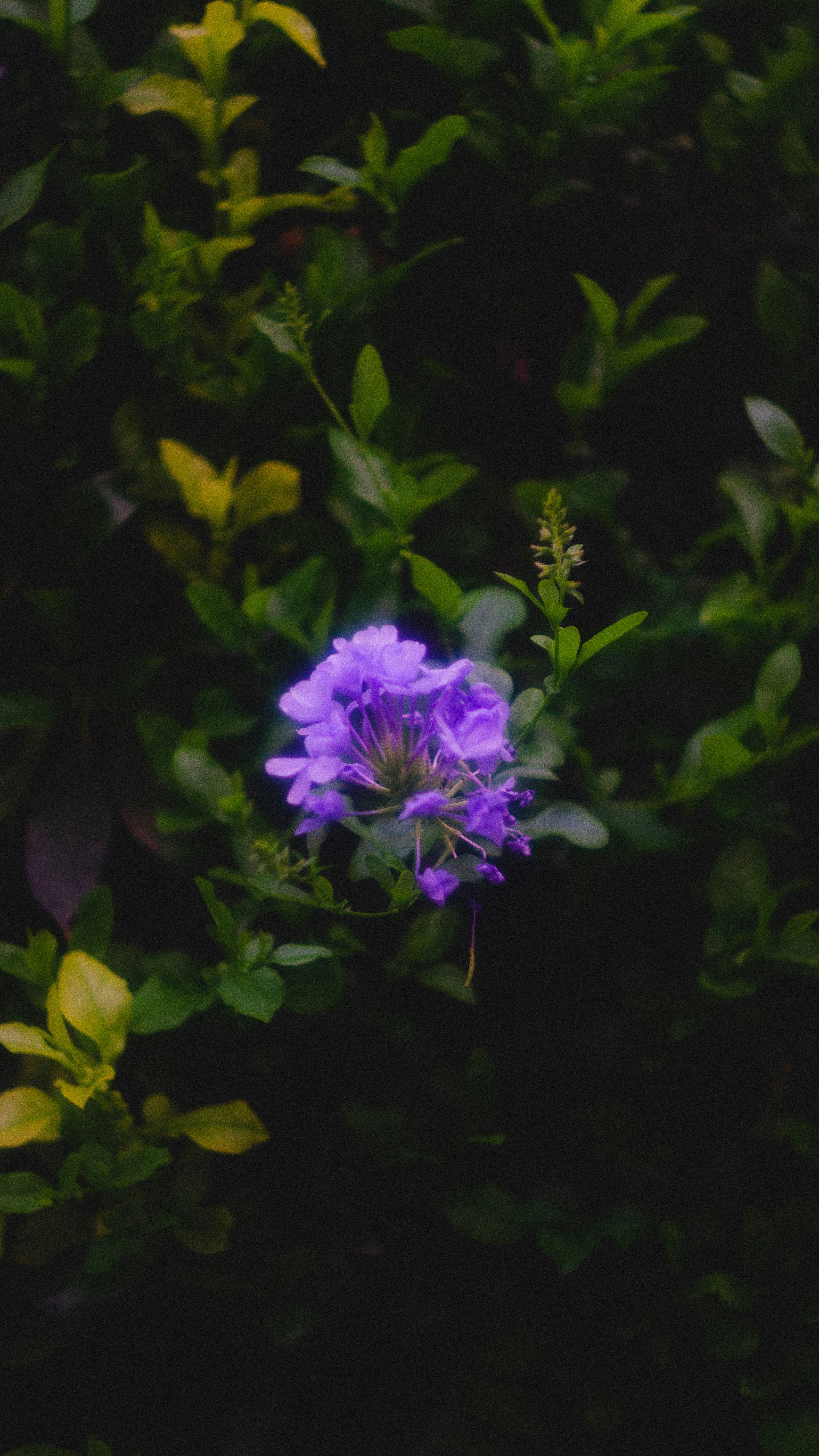 Photo by andreyanez