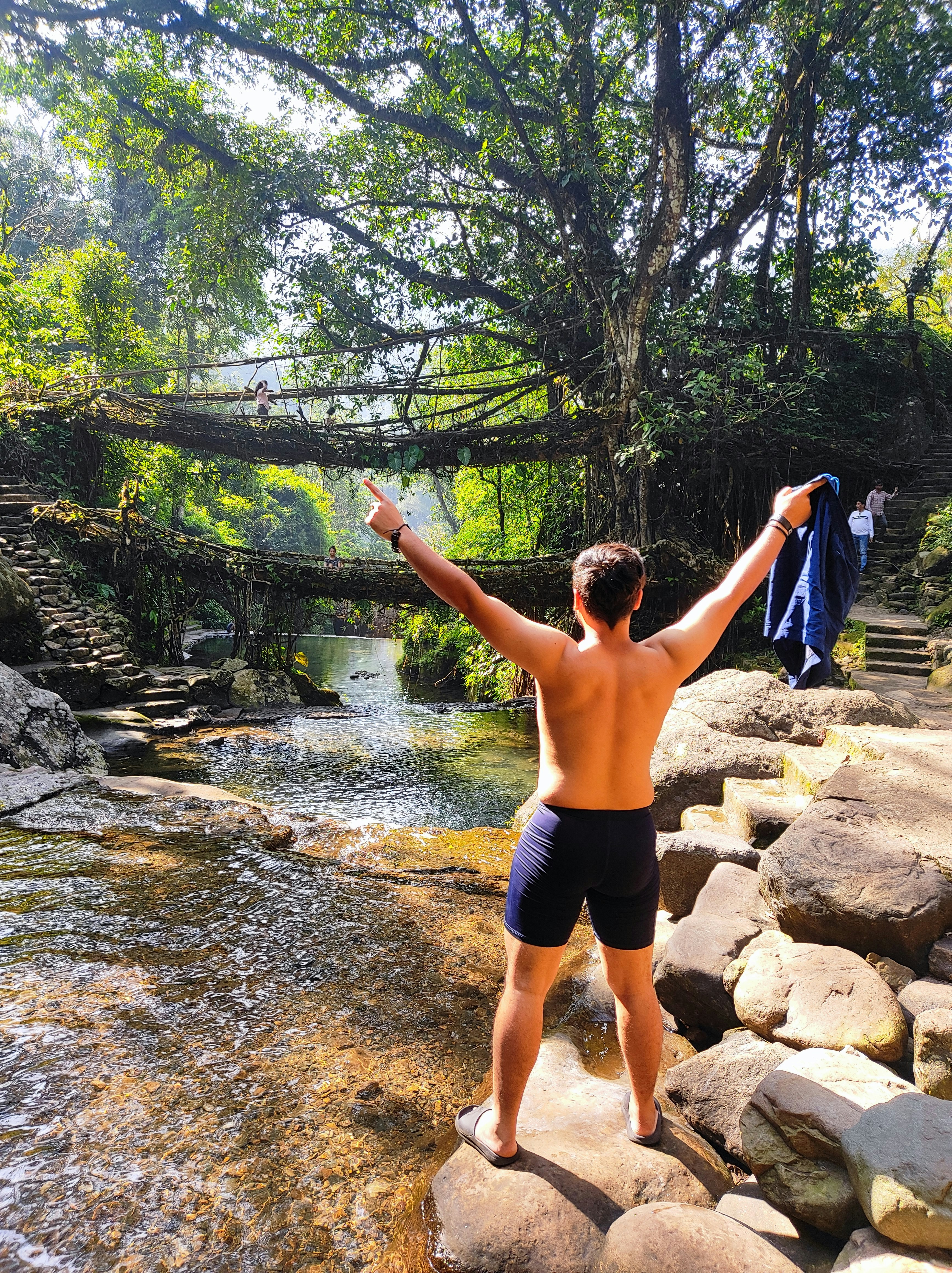 Ancient living root bridge in the forests of Cherrapunji, Meghalaya