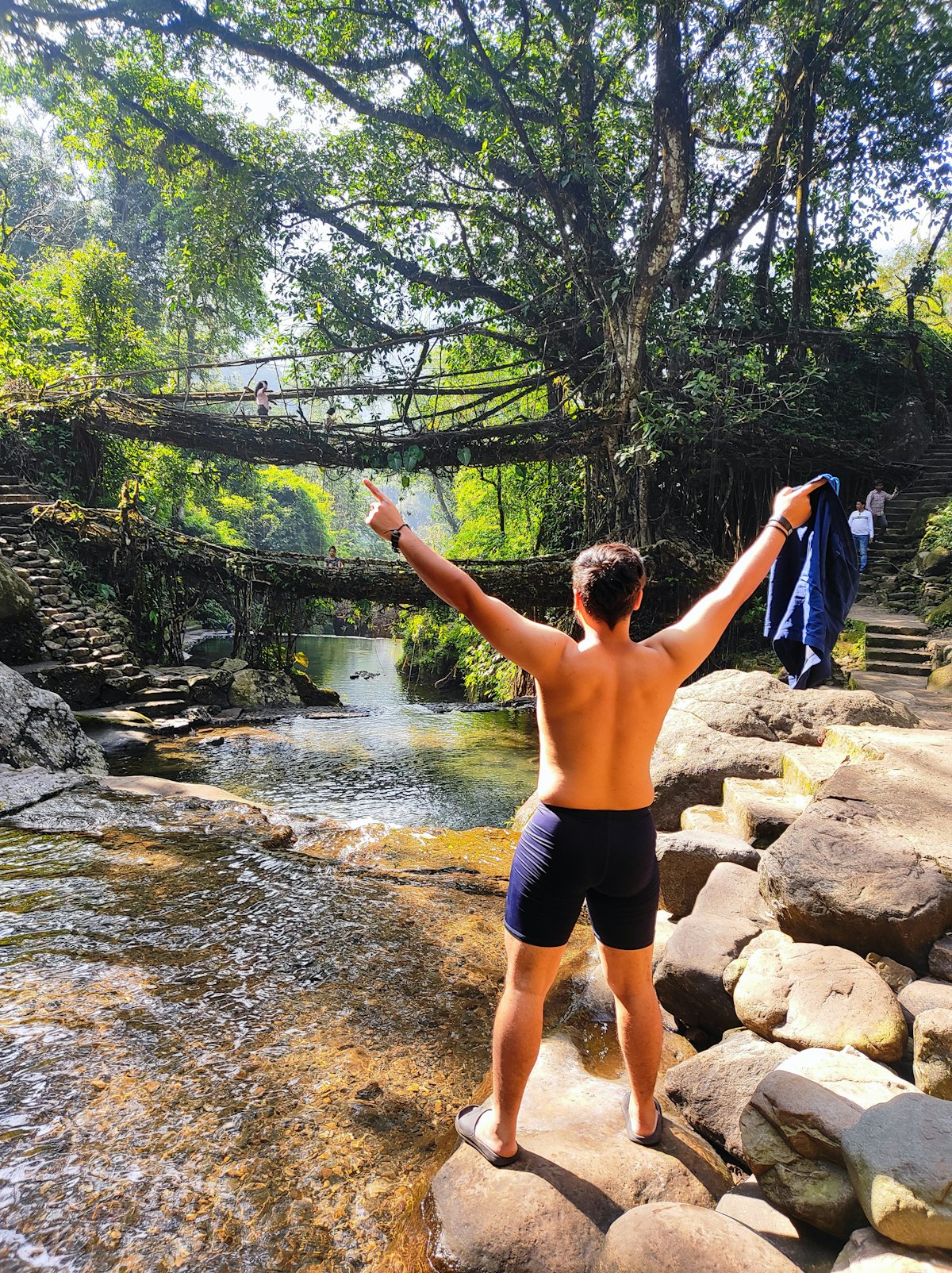 The Double Decker Living Root Bridge at Nongriat, Meghalaya, with tangled roots forming a natural bridge over the river