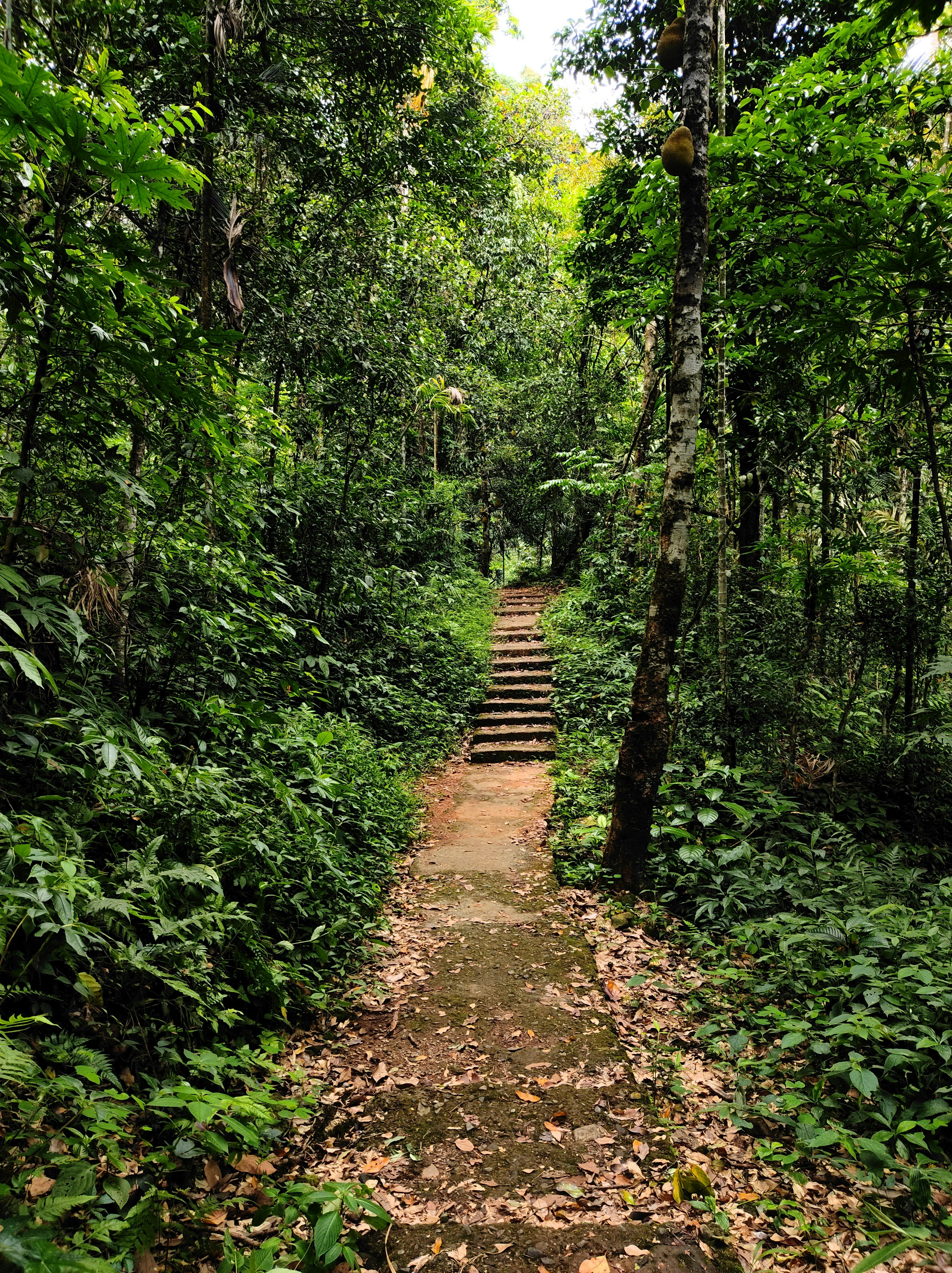 Photo by abhishektirkey