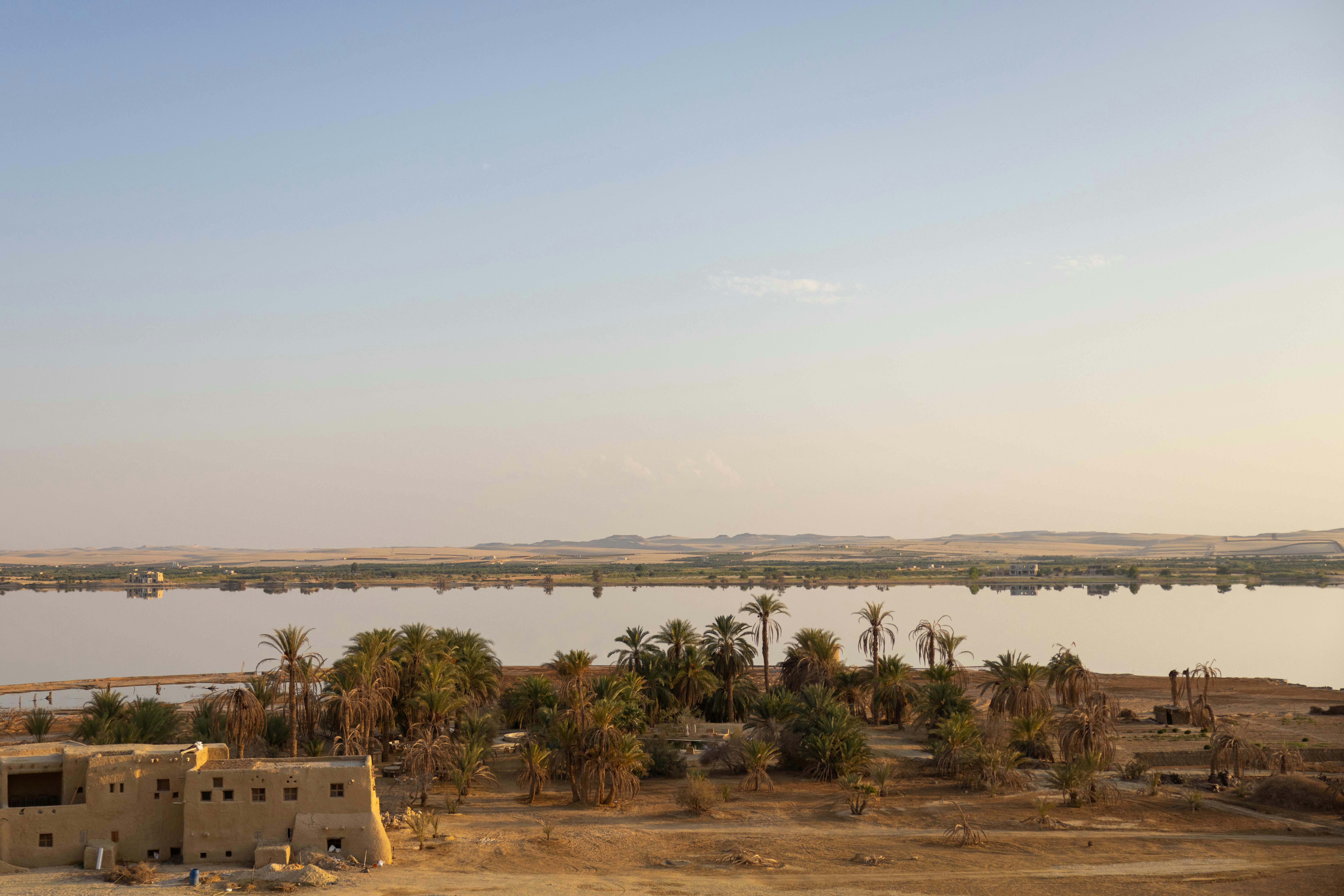 Kongor, Sudan (White Nile’s untouched banks) - Landscape of still water and palm trees in the middle of the desert in Egypt.
