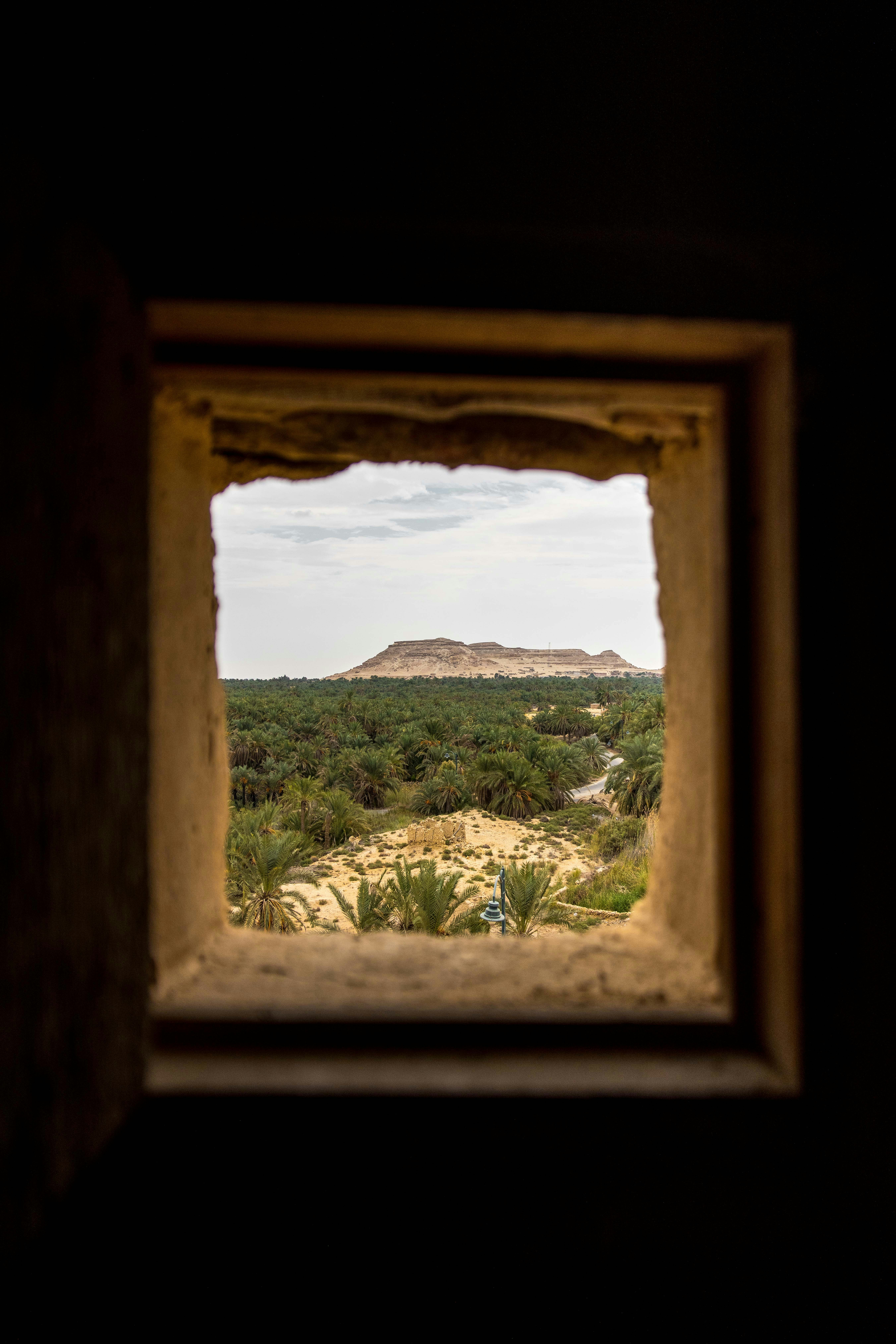 View of a landscape framed by a window.