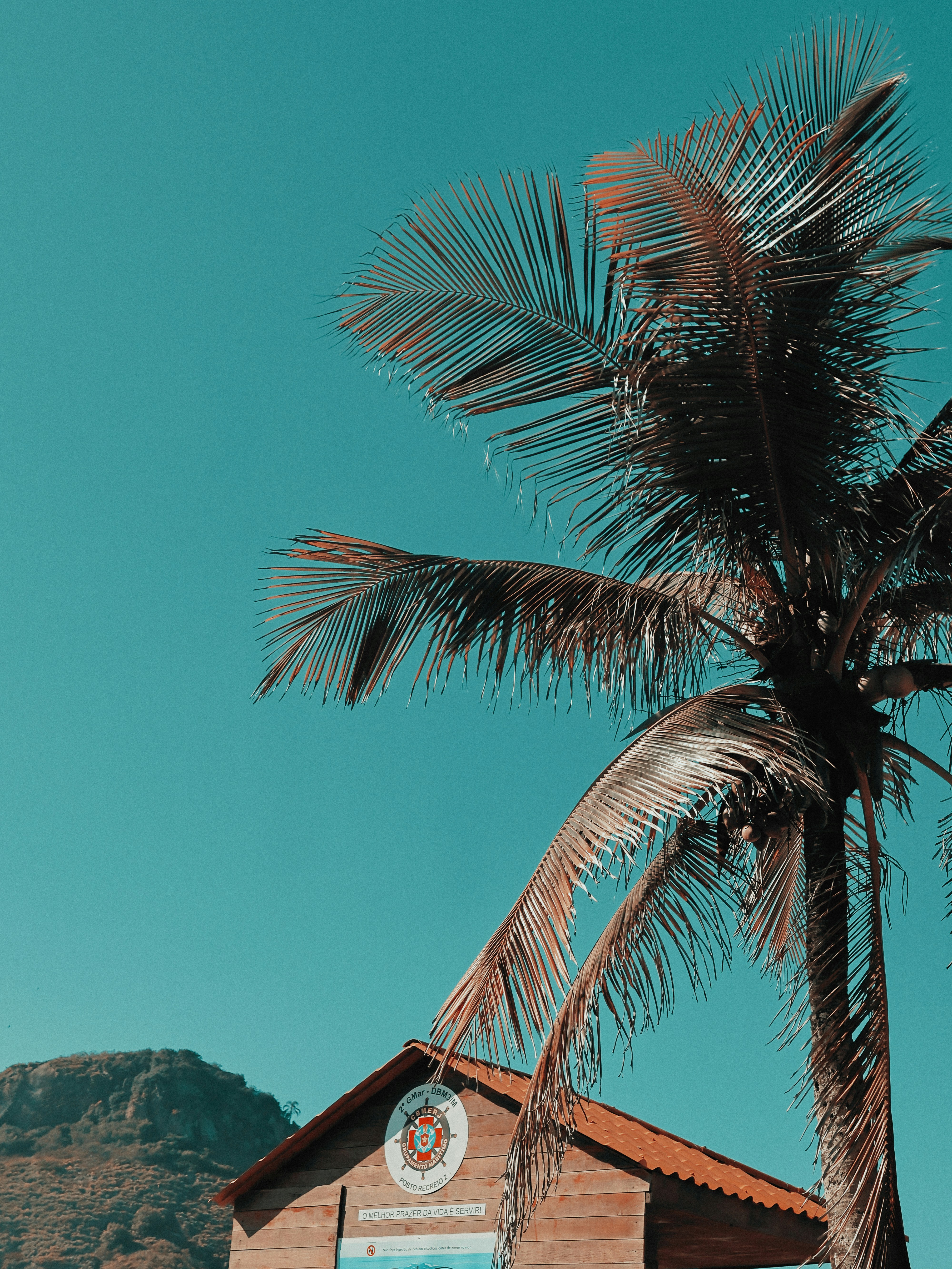 Photo by ofelipecoelho