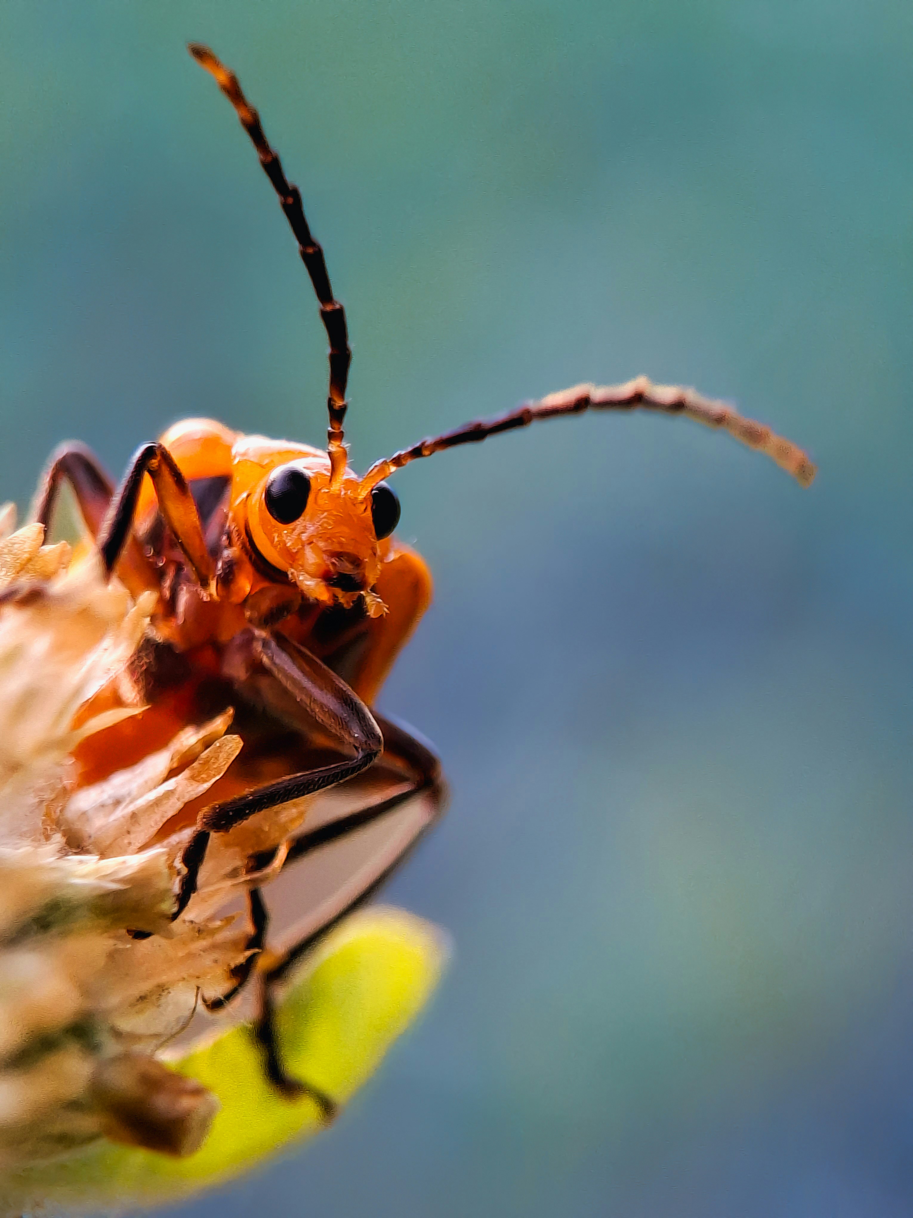 Photo by abdulrouf7463