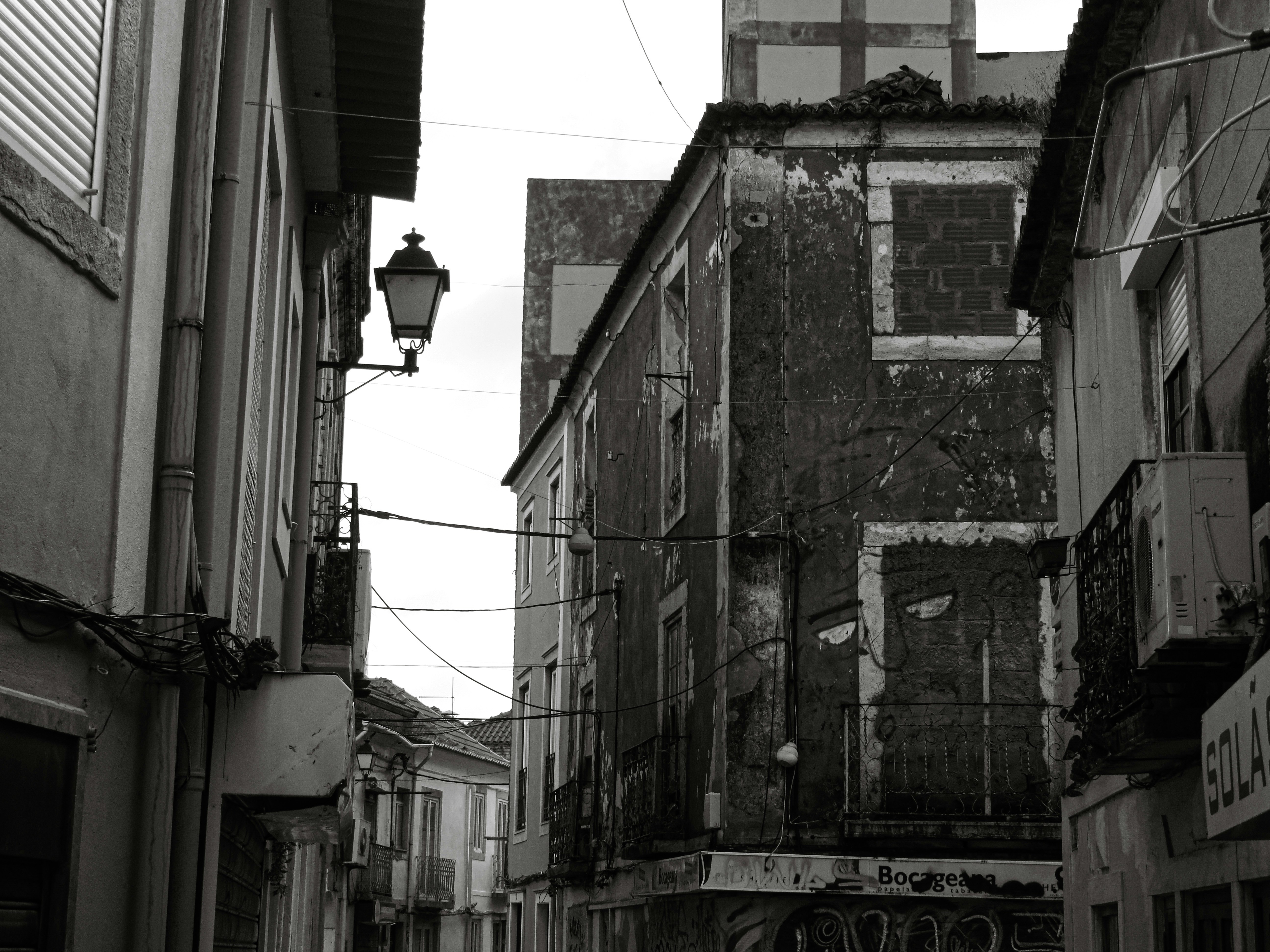 Photo by jgcachafeiro