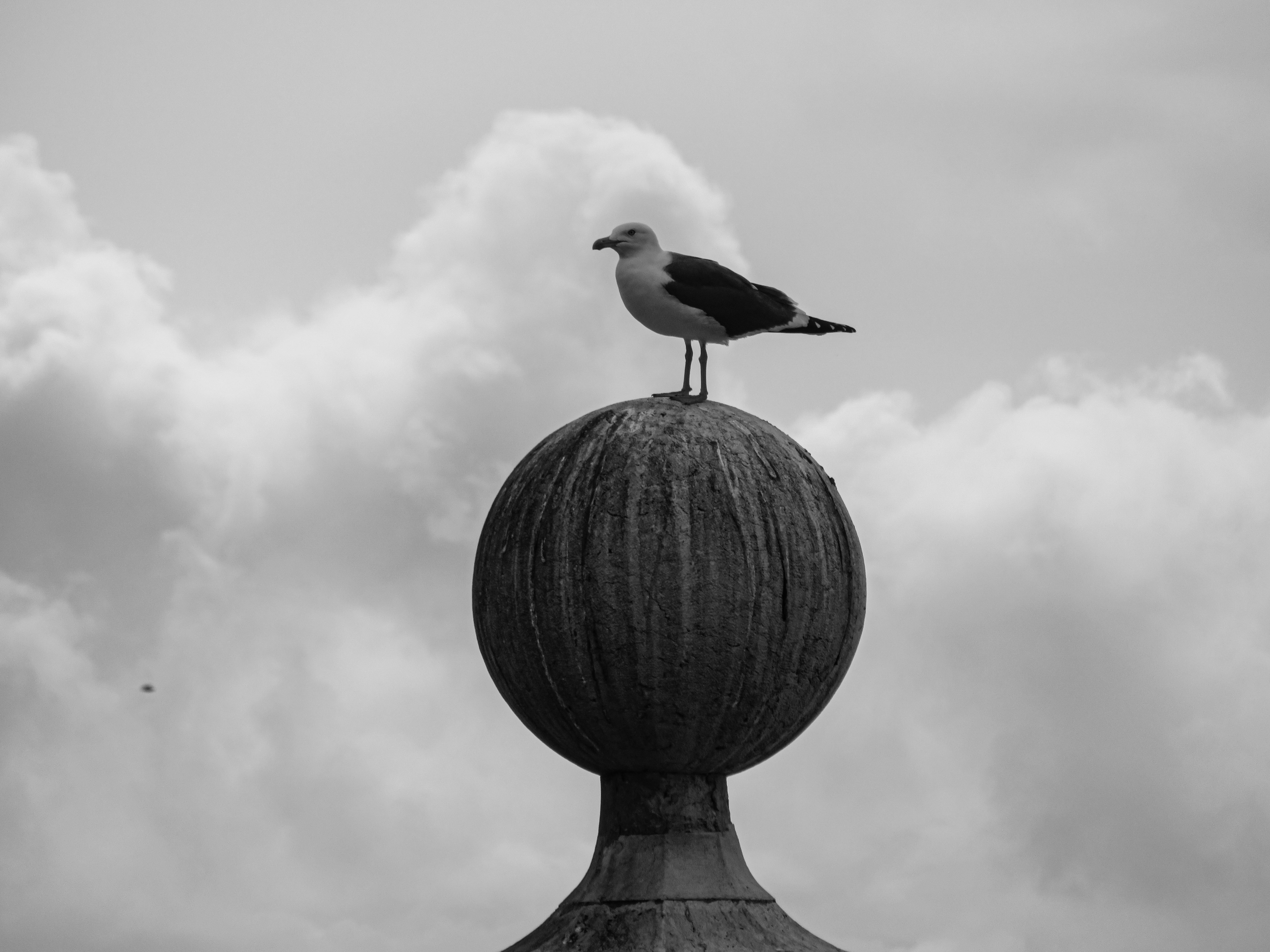 Photo by jgcachafeiro